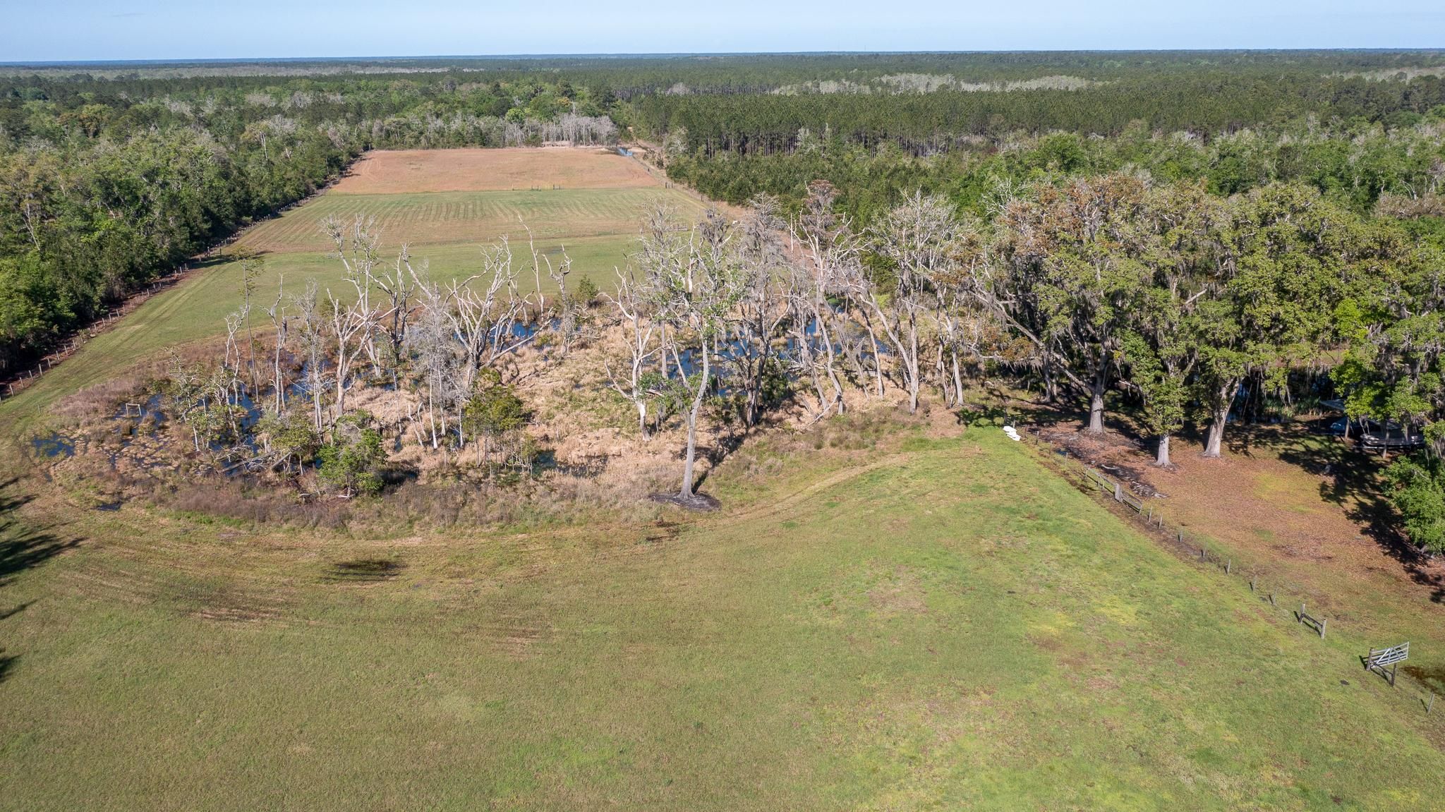 Earleton, Alachua County, FL Farms and Ranches, Horse Property for sale
