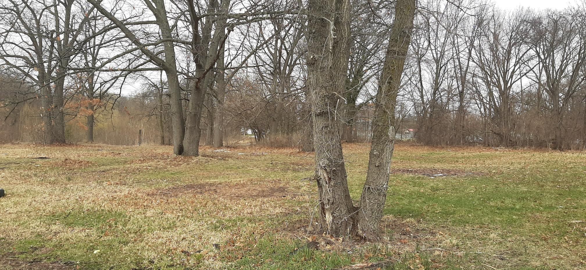 Benton Harbor, Berrien County, MI Undeveloped Land, Homesites for sale