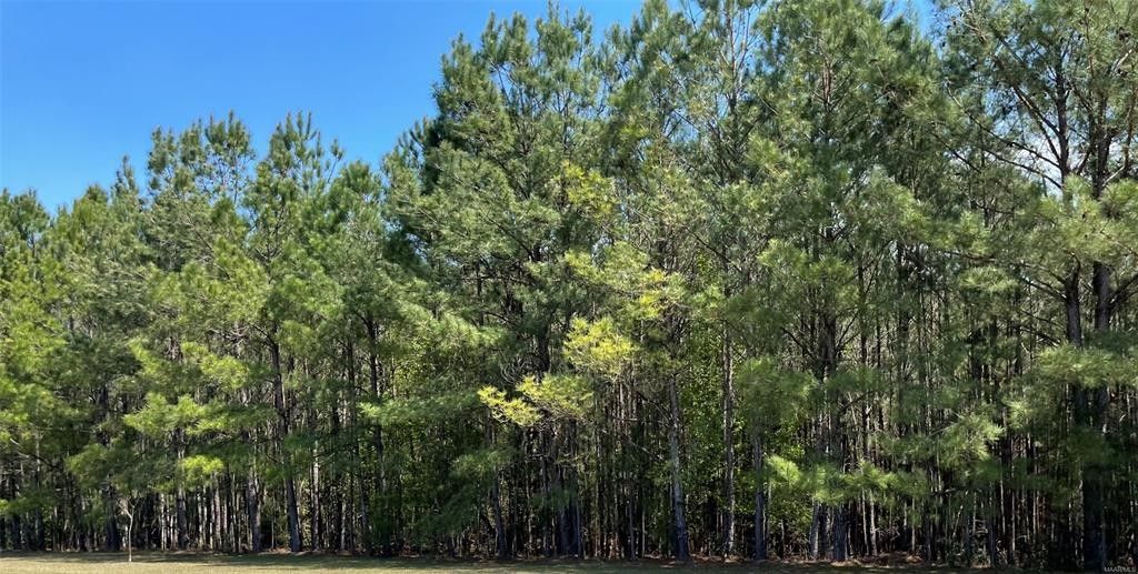 Tuskegee, Macon County, AL Farms and Ranches, Homesites for sale