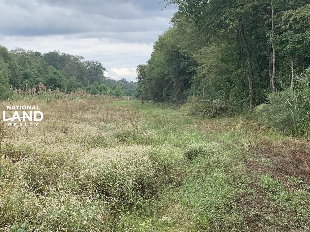 Hodge, Jackson Parish, LA Recreational Property, Timberland Property