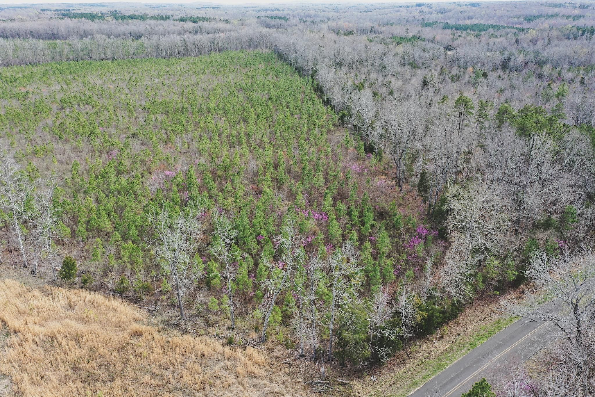 Roxboro, Person County, NC Recreational Property, Timberland Property