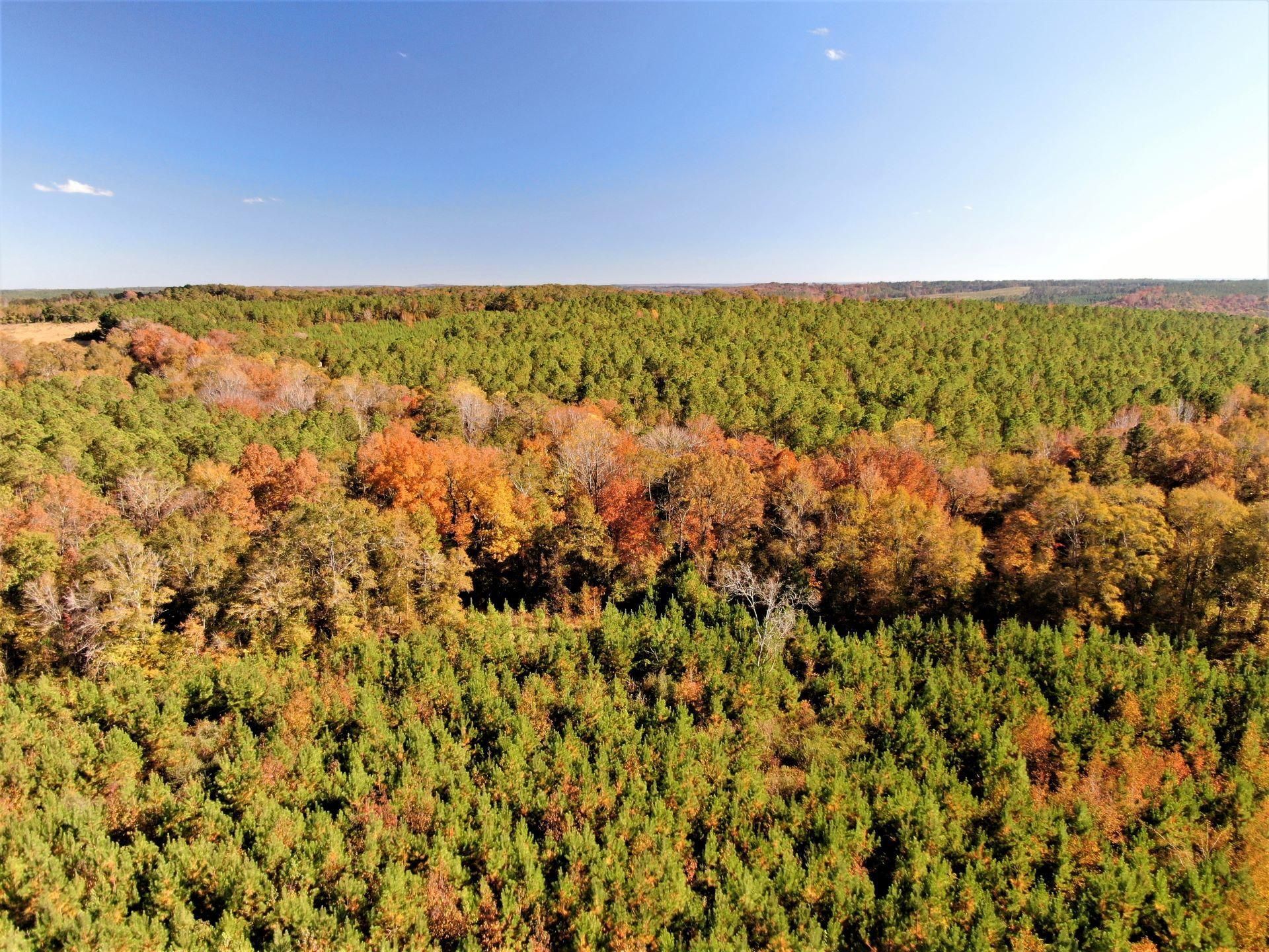 Independence, Autauga County, AL Farms and Ranches for sale Property ID 412398780 LandWatch