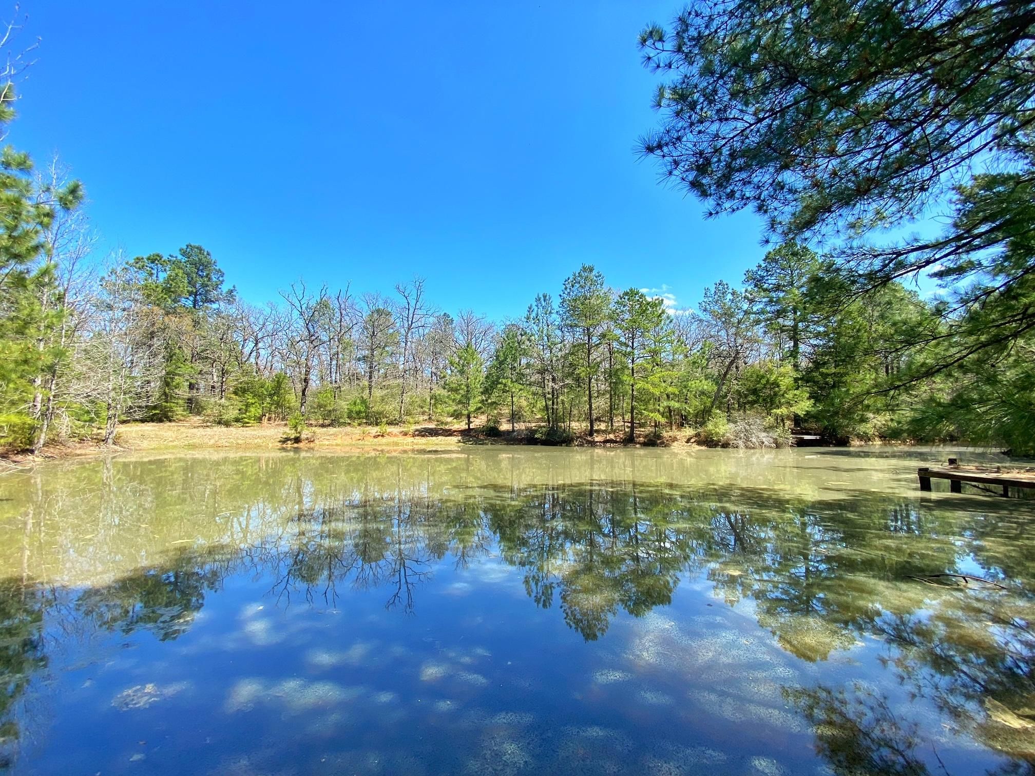 6179 CR 298, Oakwood, TX 75855 LandWatch