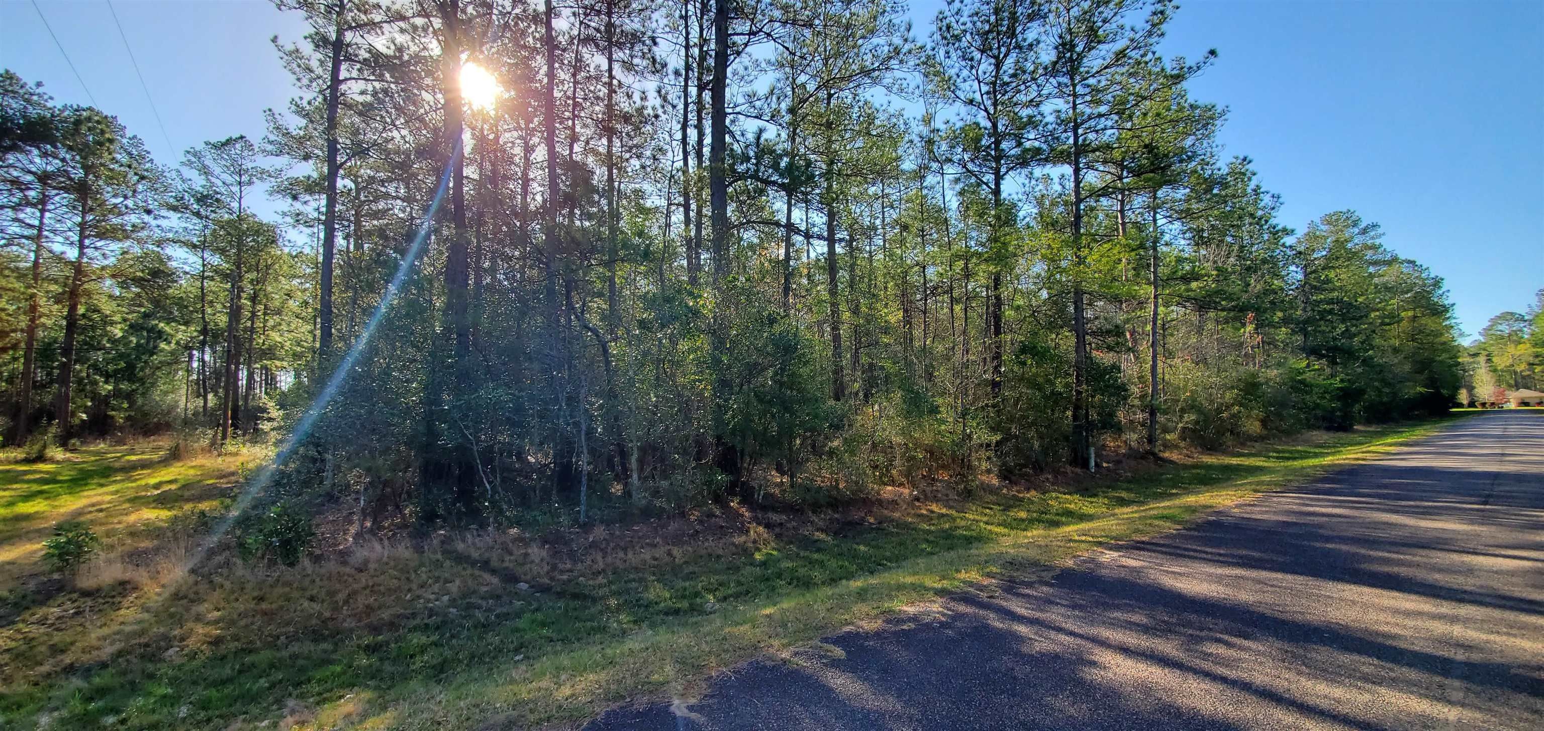 Village Mills, Hardin County, TX Farms and Ranches, Homesites for sale Property ID 413129820