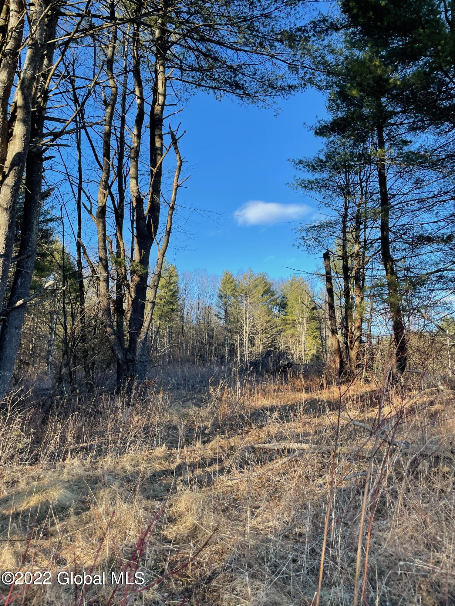 Greenfield, Saratoga County, NY Undeveloped Land, Homesites for sale