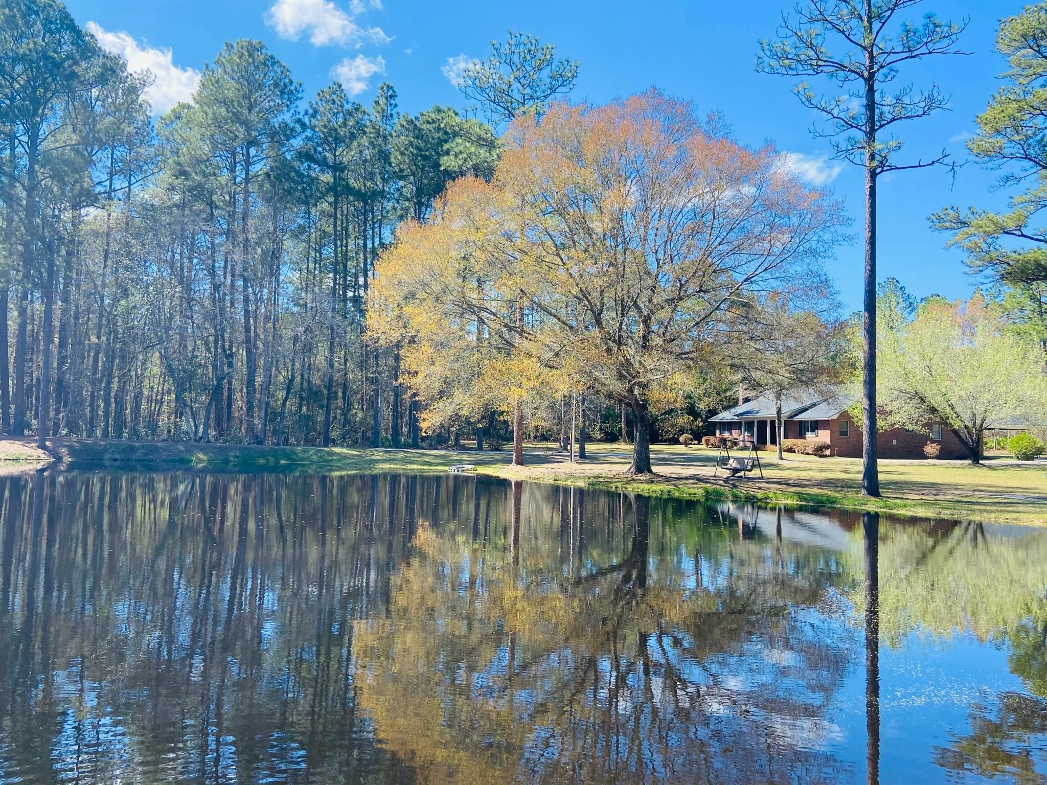Claxton, Evans County, GA Recreational Property, Hunting Property