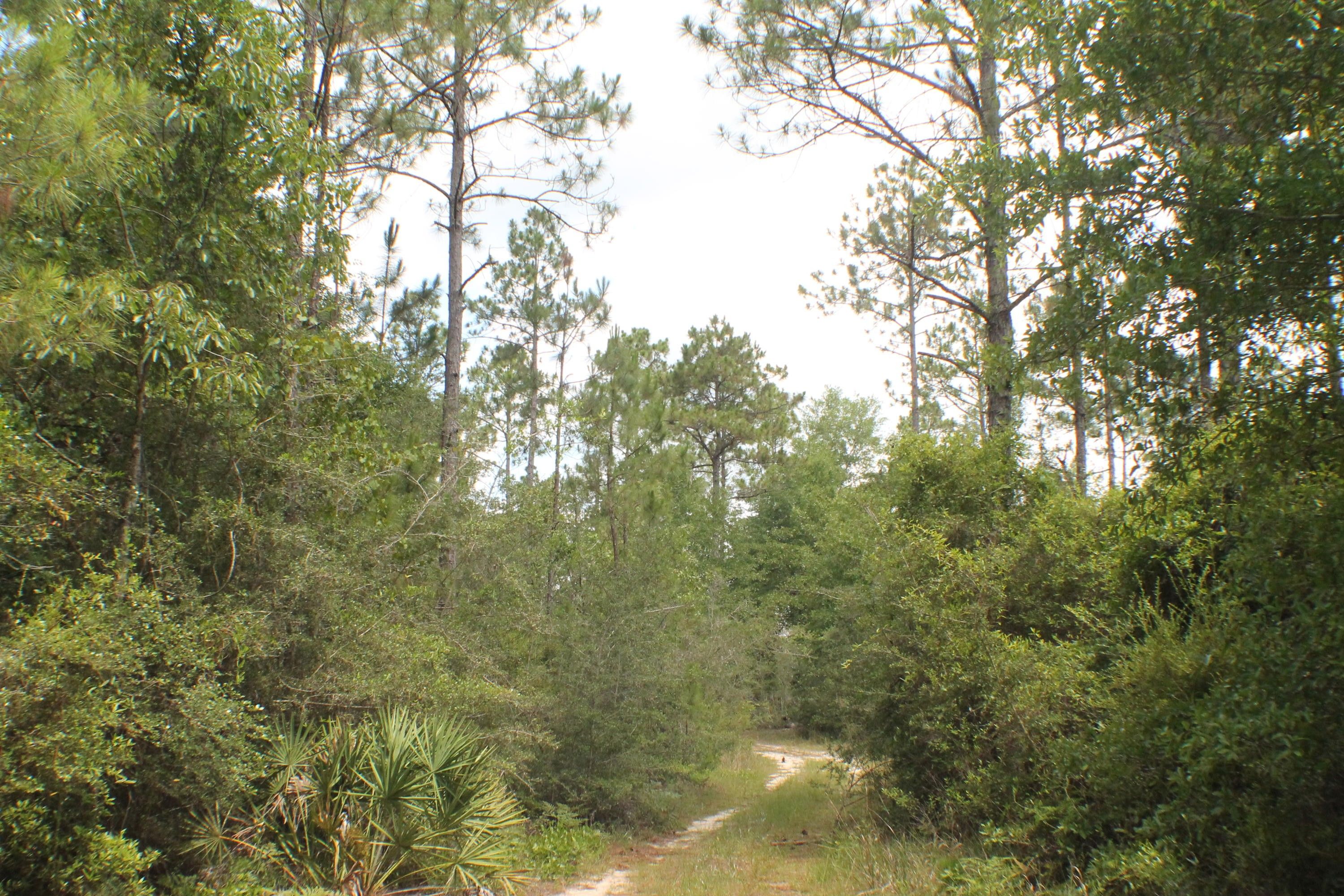 Crestview, Okaloosa County, FL Undeveloped Land, Lakefront Property