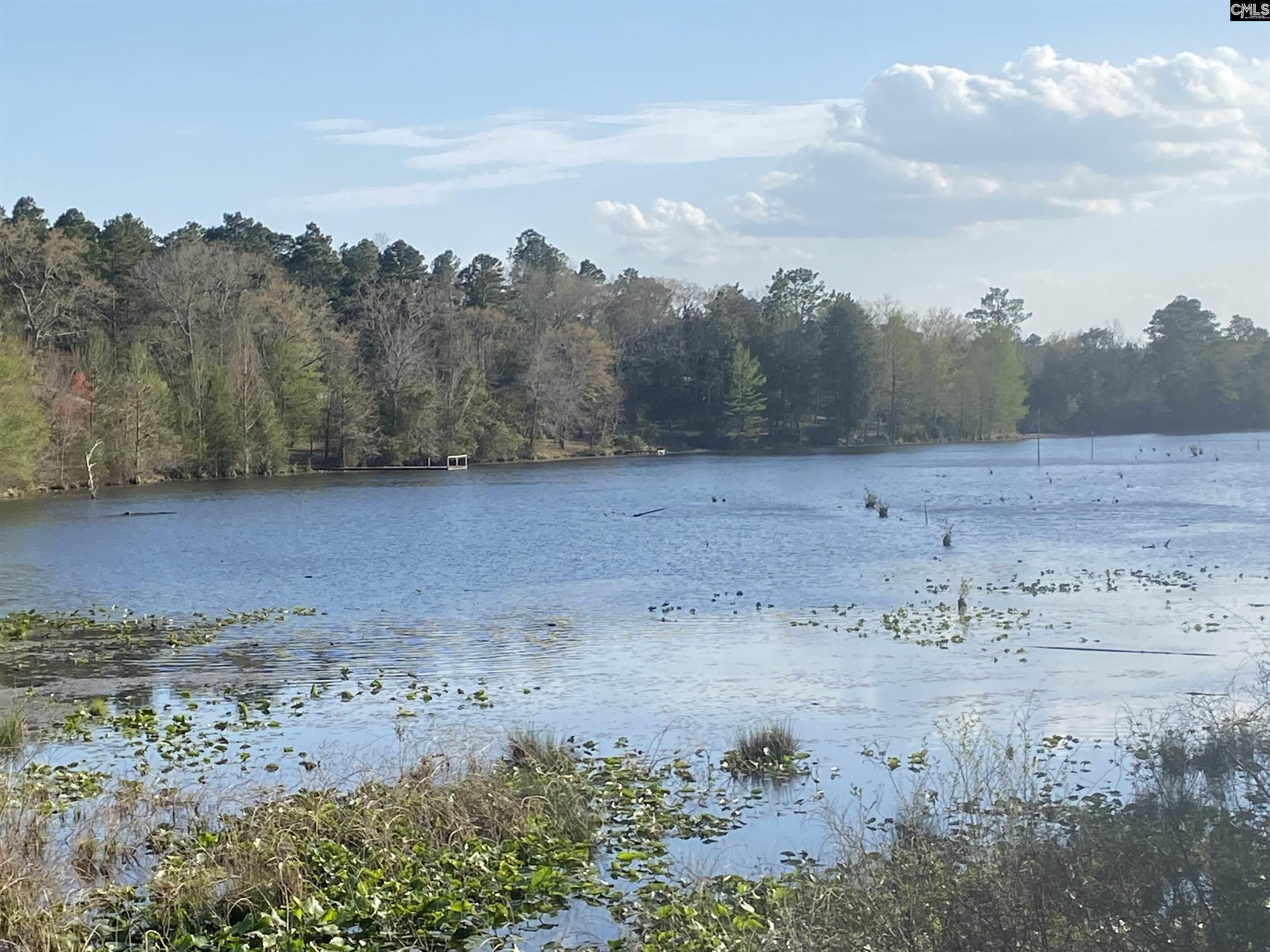 Pelion, Lexington County, SC Undeveloped Land, Lakefront Property