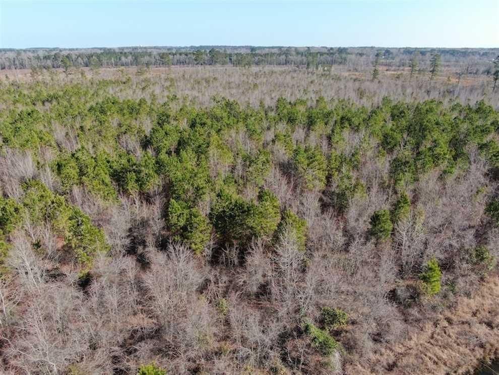 Lumberton, Robeson County, NC Recreational Property, Commercial