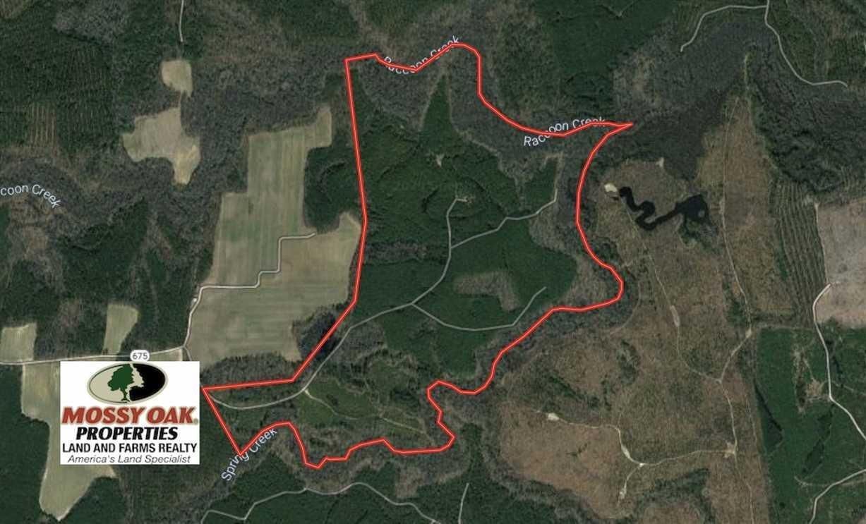 Yale, Sussex County, VA Recreational Property, Timberland Property