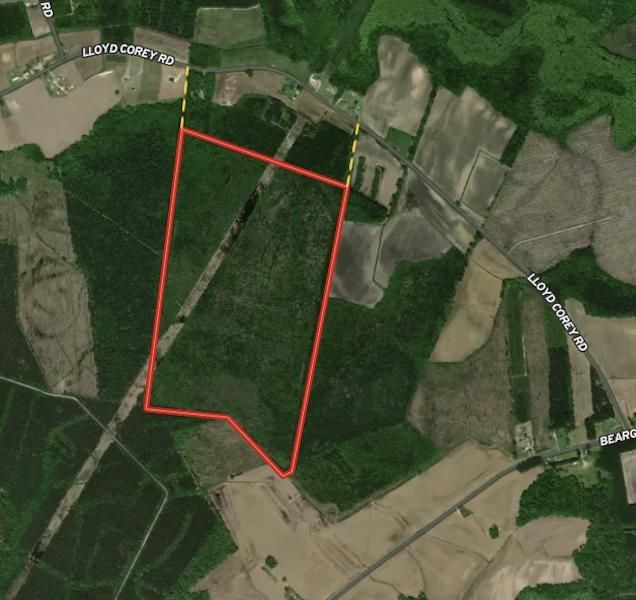 Stokes, Pitt County, NC Recreational Property, Timberland Property