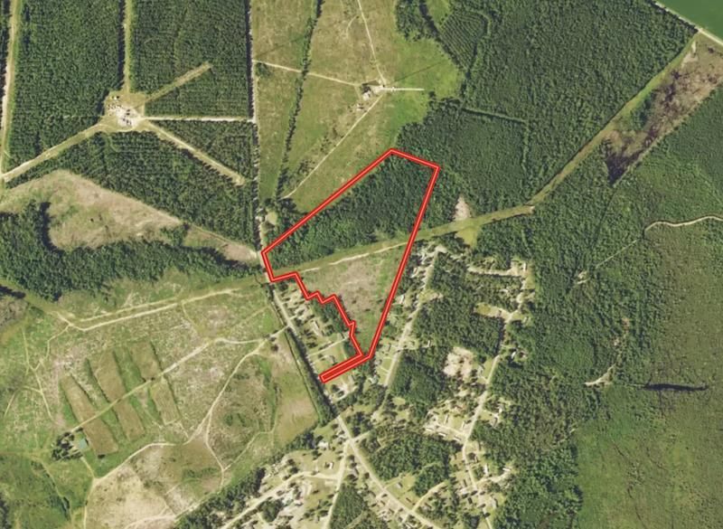 Dillon, Dillon County, SC Recreational Property, Timberland Property