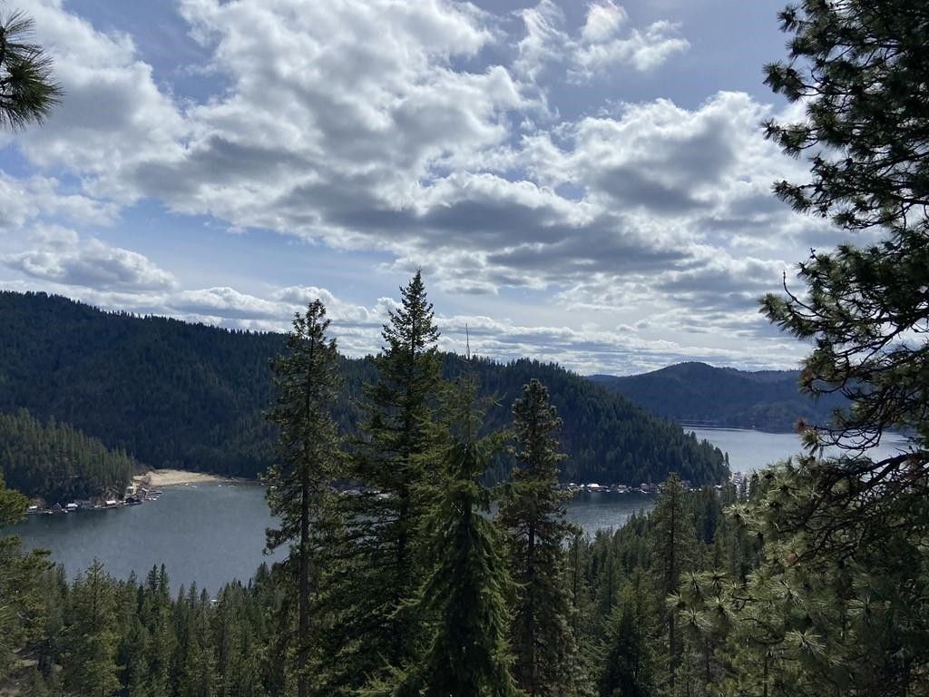 Loon Lake, Stevens County, WA Undeveloped Land, Lakefront Property