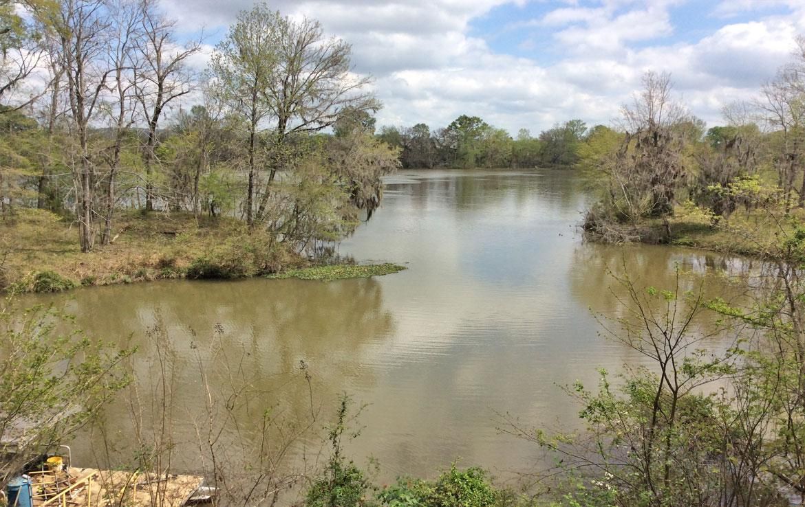 1512 River Paradise Ln, Lowndesboro, AL 36752 MLS River Paradise Ln