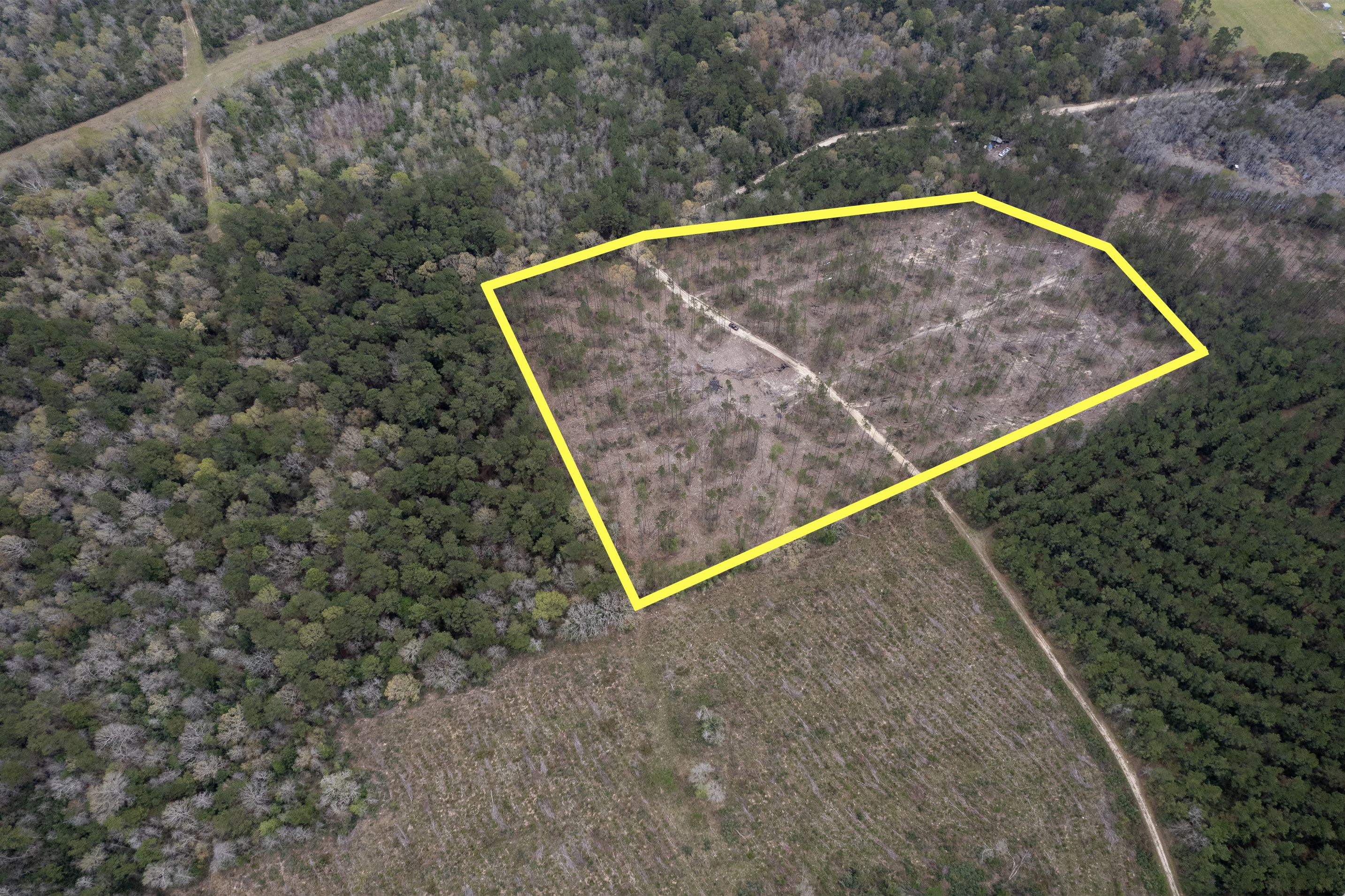 Fred, Tyler County, TX Recreational Property, Undeveloped Land, Hunting