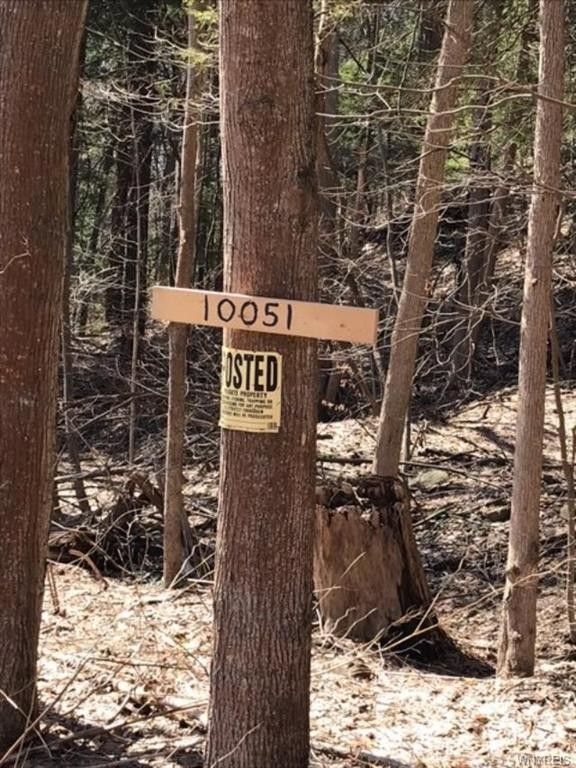 Gowanda, Cattaraugus County, NY Undeveloped Land for sale Property ID