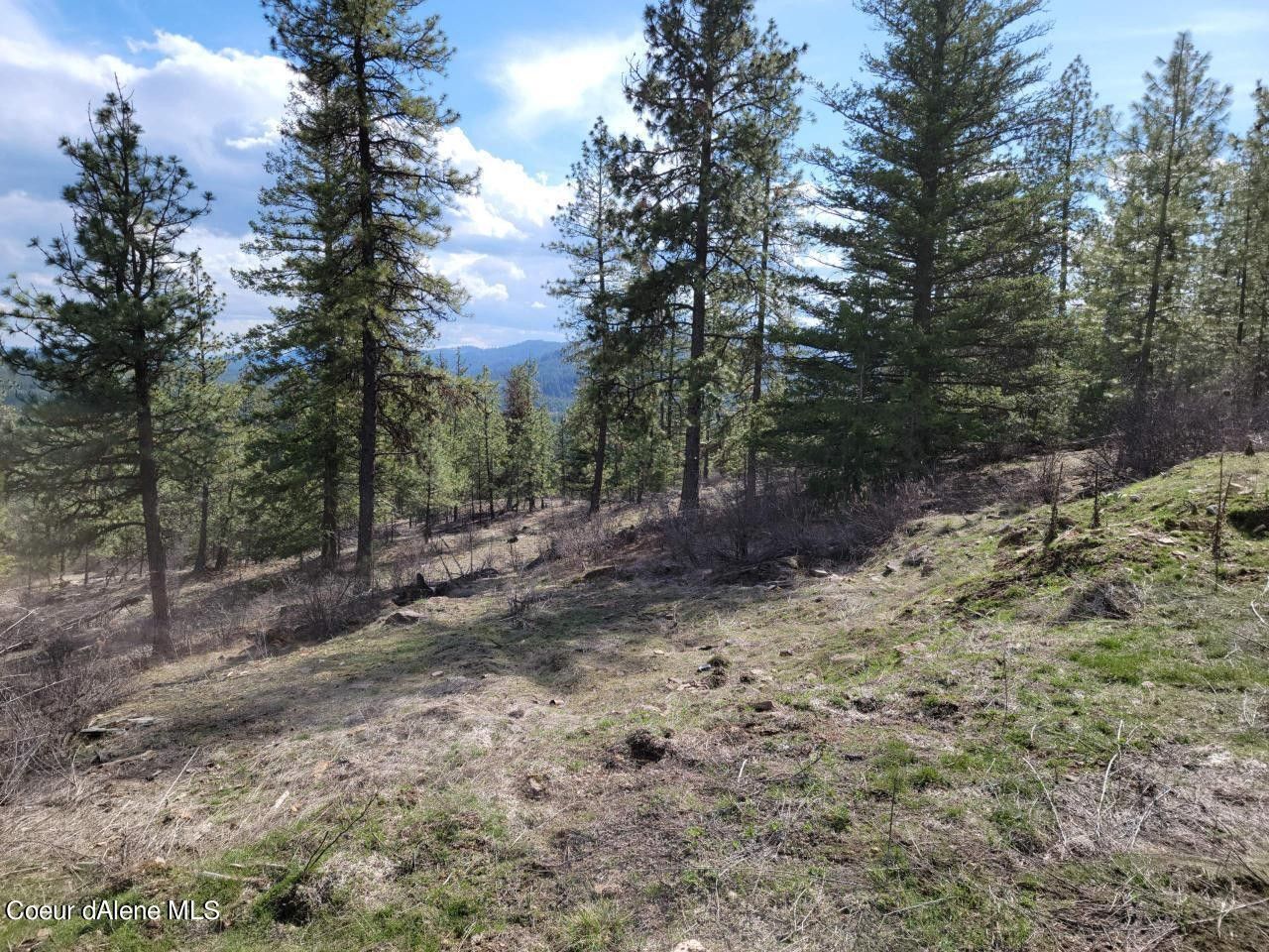 Spirit Lake, Bonner County, ID Undeveloped Land for sale Property ID