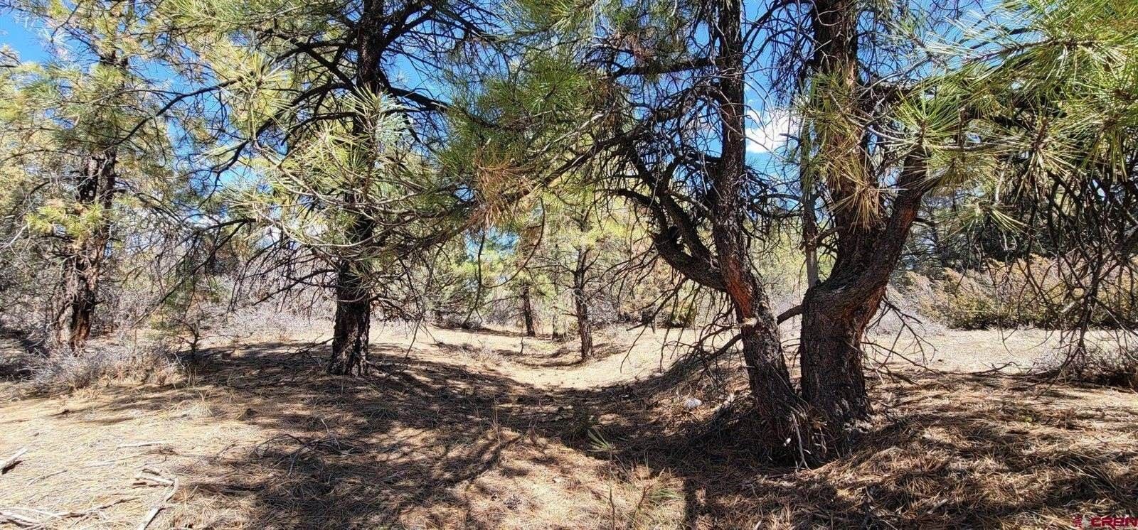 Pagosa Springs, Archuleta County, CO Undeveloped Land, Homesites for