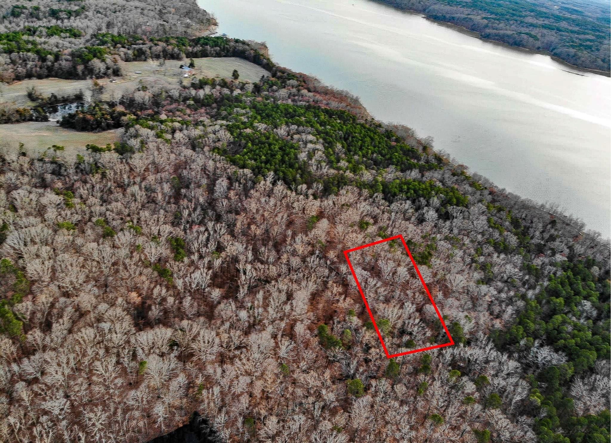 Clarksville, Mecklenburg County, VA Timberland Property, Undeveloped