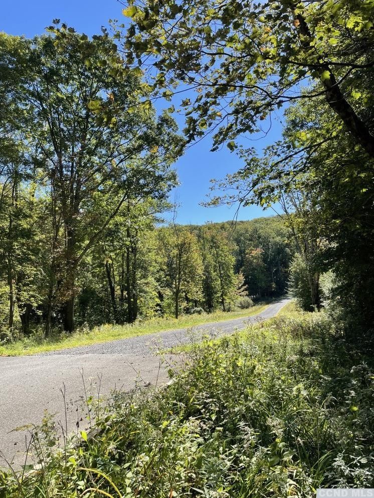 Austerlitz, Columbia County, NY Undeveloped Land for sale Property ID