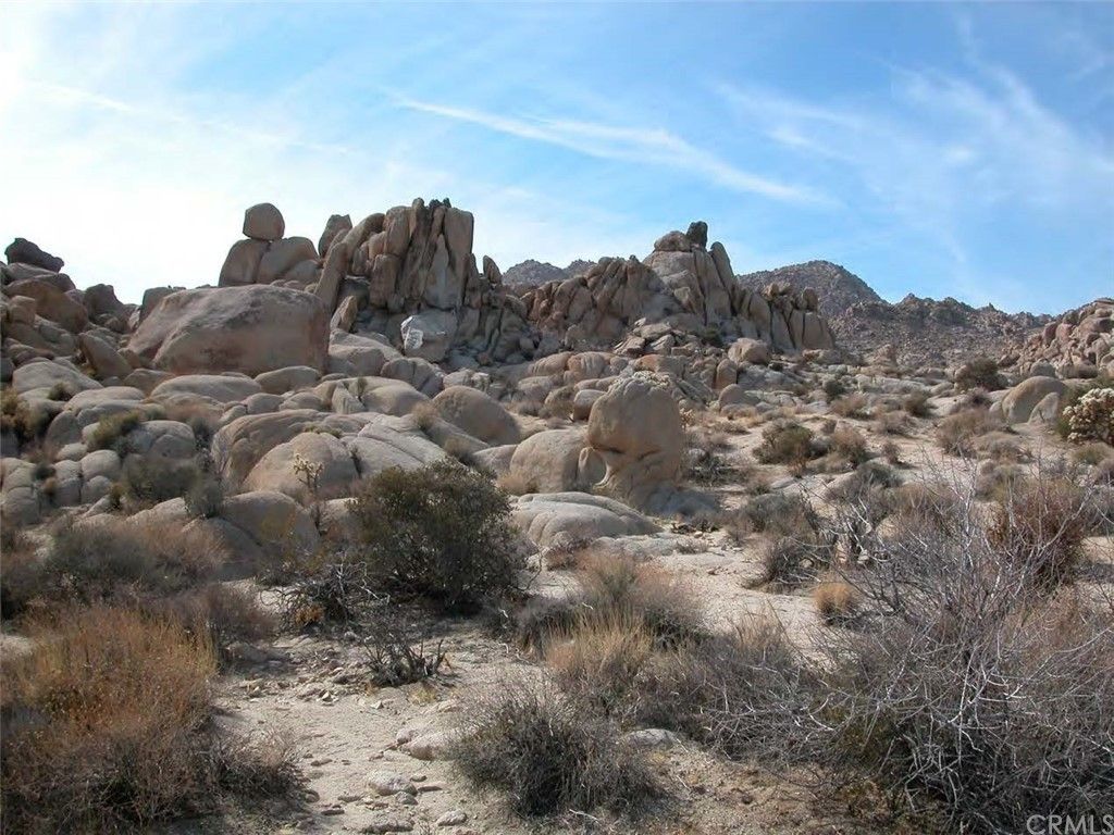 Joshua Tree, San Bernardino County, CA Undeveloped Land for sale