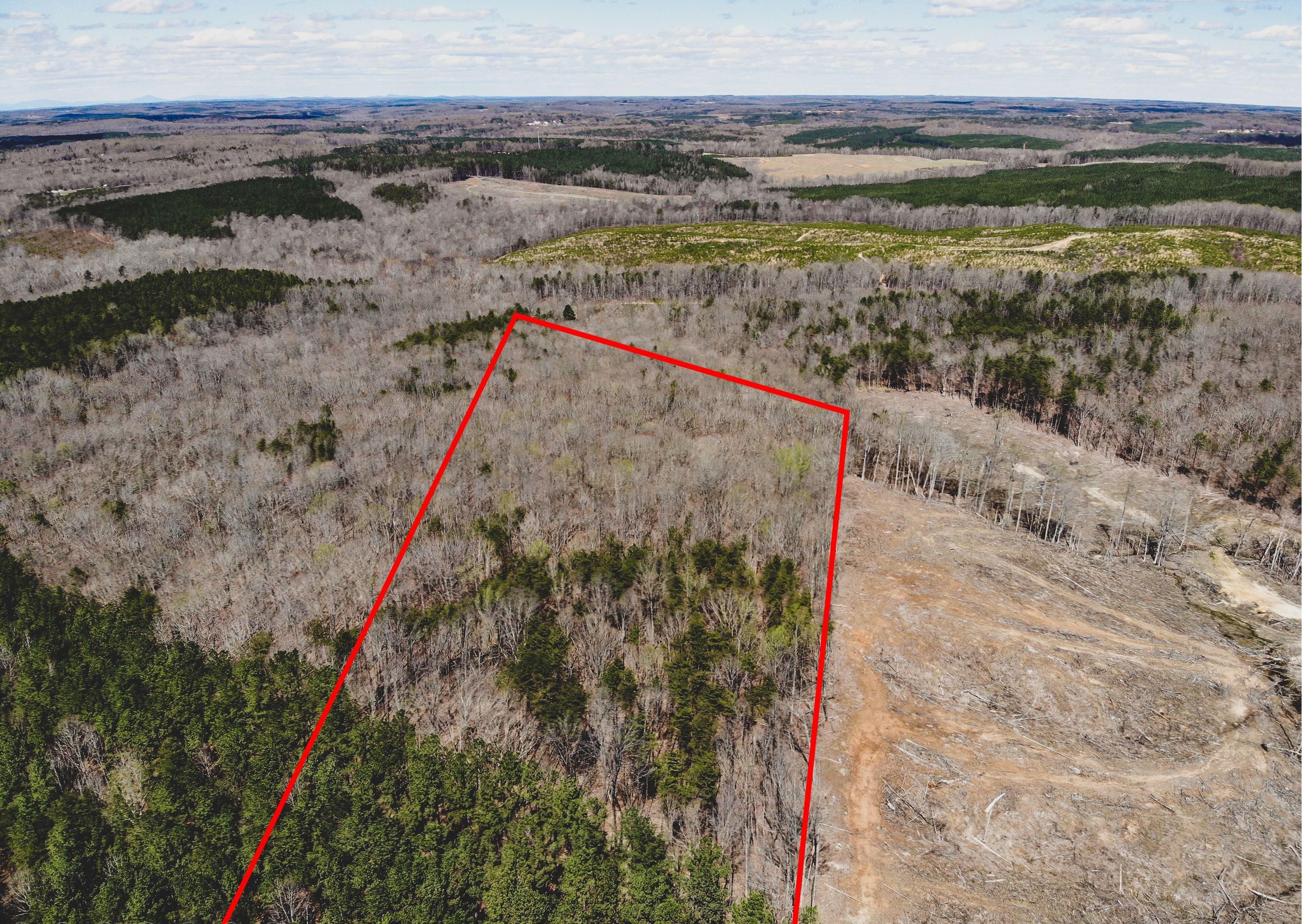 Randolph, Charlotte County, VA Timberland Property, Undeveloped Land