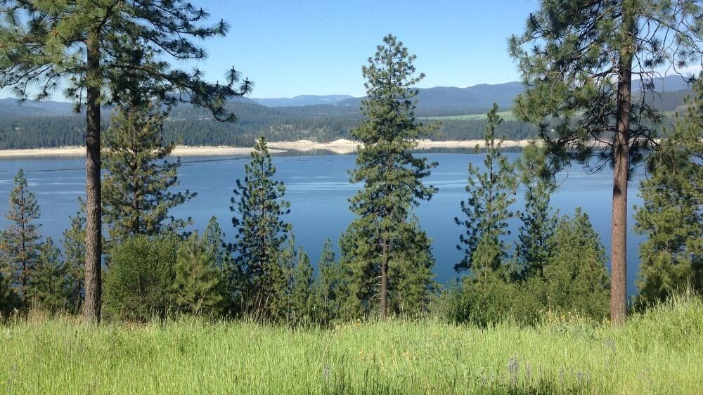 Gifford, Stevens County, WA Undeveloped Land, Lakefront Property