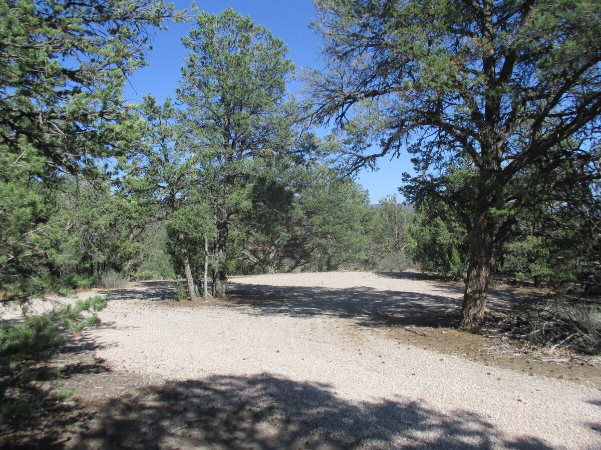 Ramah, McKinley County, NM Farms and Ranches for sale Property ID
