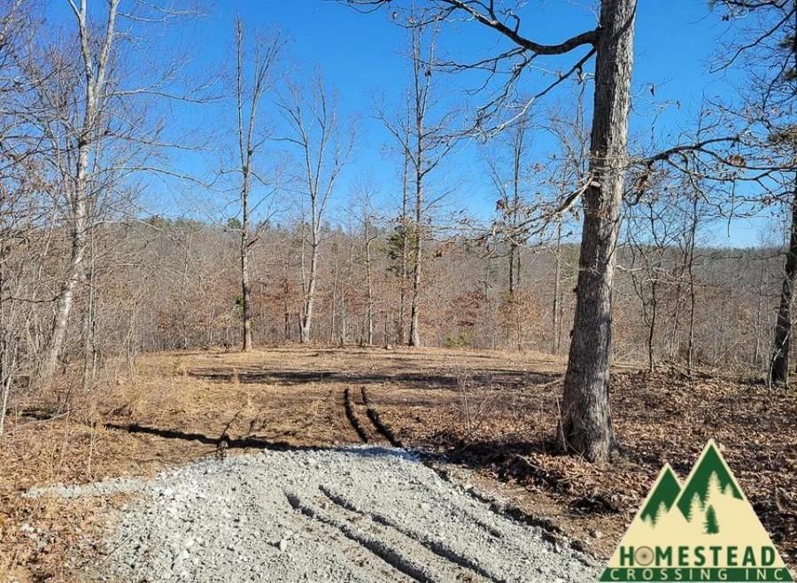 Raymondville, Texas County, MO Recreational Property, Undeveloped Land