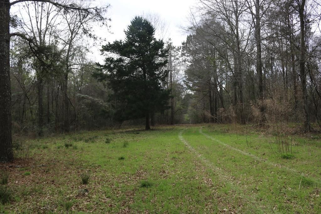 Heidelberg, Jasper County, MS Recreational Property, Timberland
