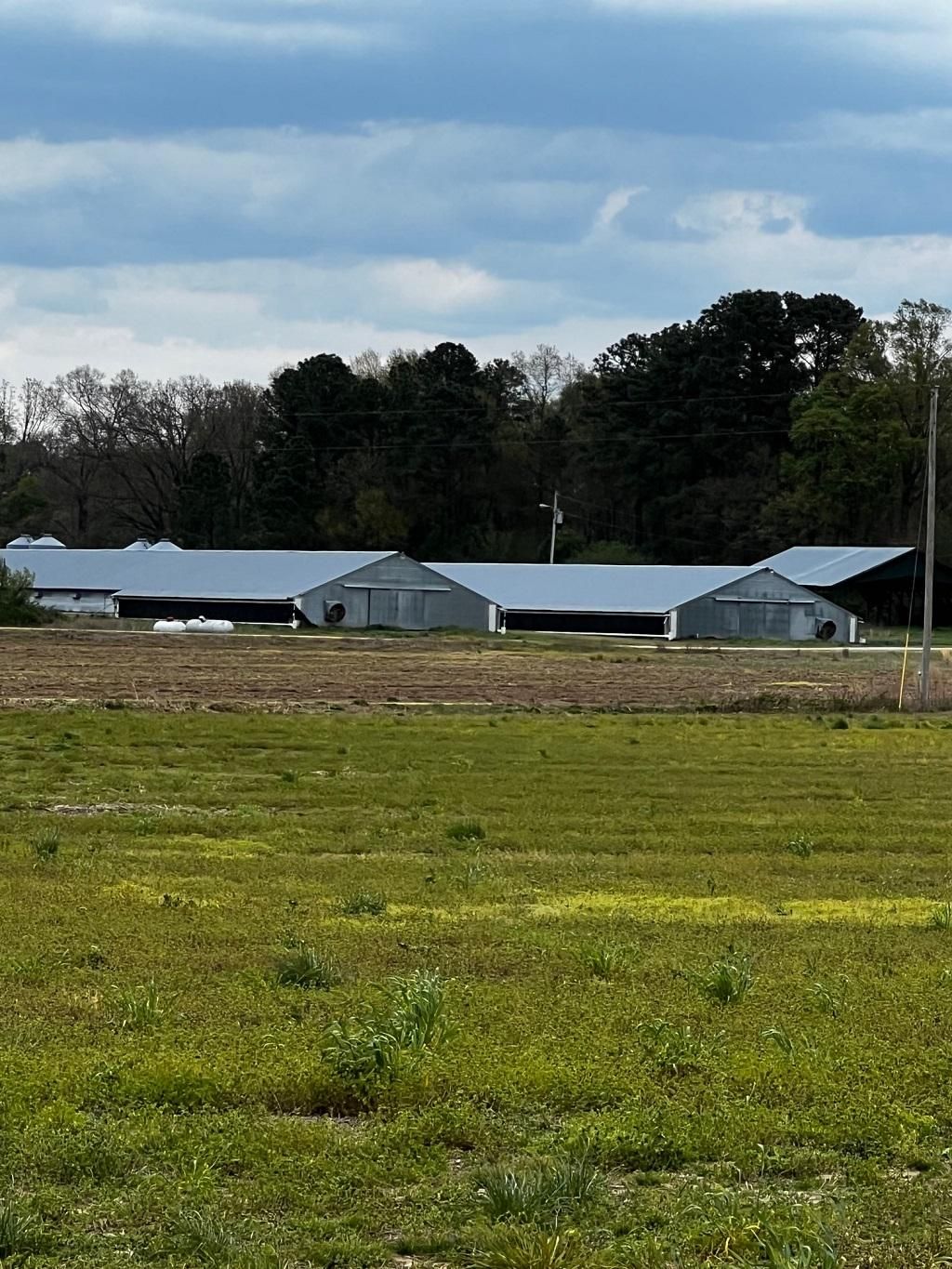 Marlboro County, SC Farms and Ranches for sale Property