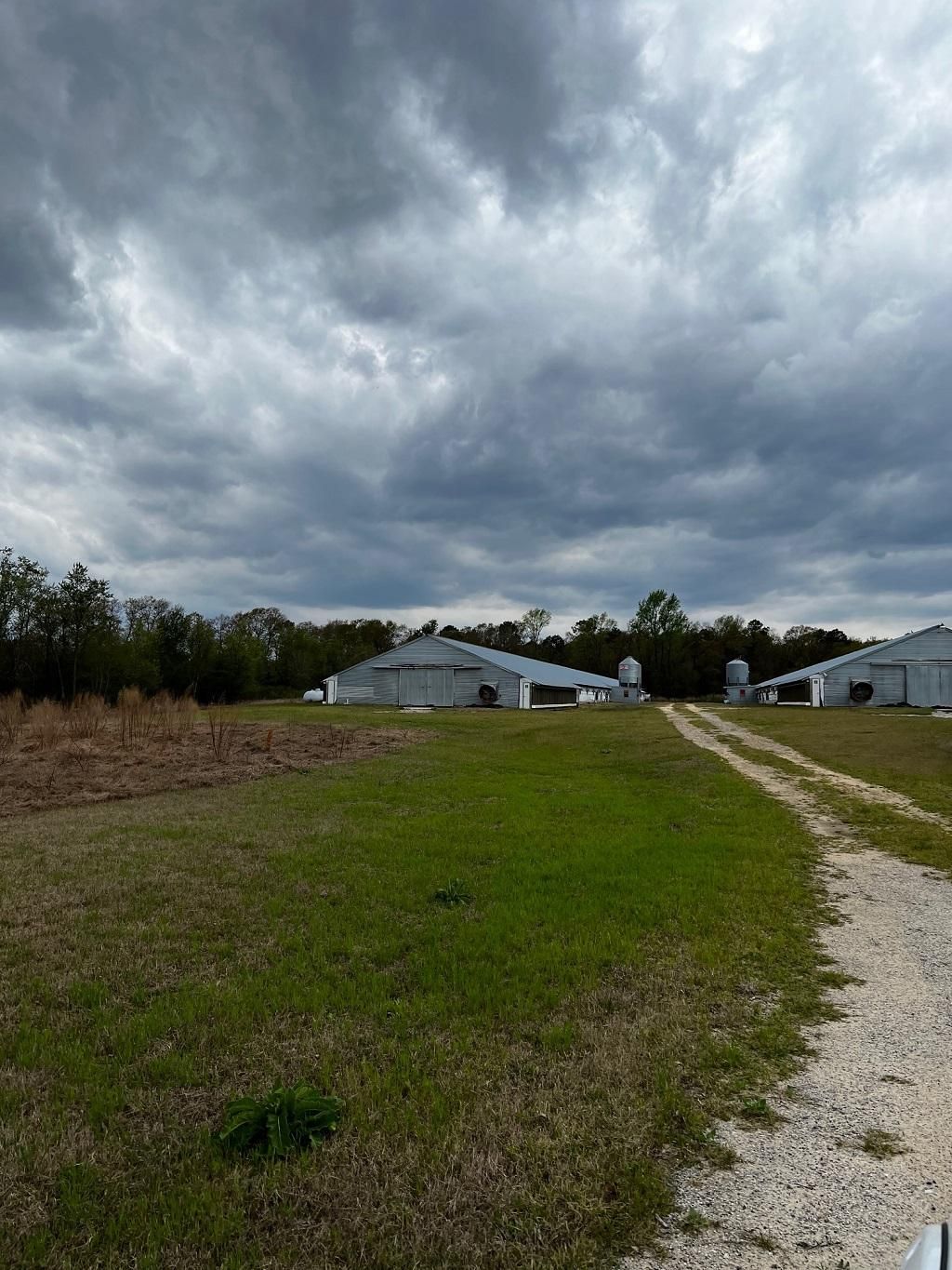 00 Fruit Farm Road, SC 29512 LandWatch