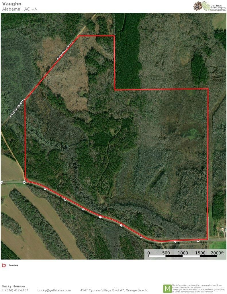 Autaugaville, Autauga County, AL Timberland Property, Undeveloped Land, Hunting Property for