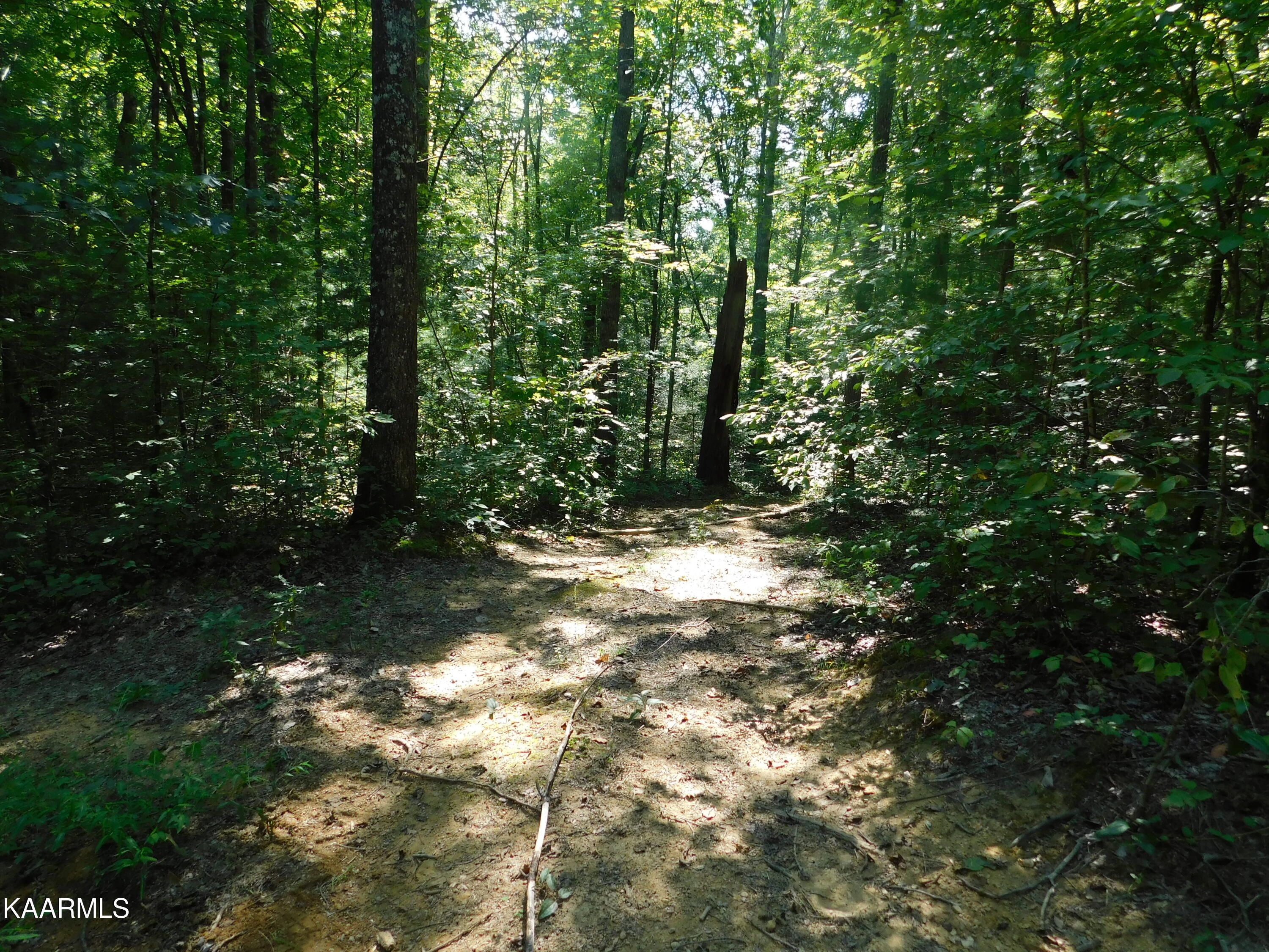 Sevierville, Sevier County, TN Undeveloped Land for sale Property ID