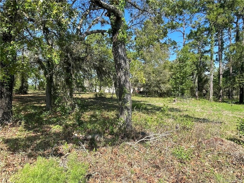 Homosassa, Citrus County, FL Farms and Ranches, Homesites for sale