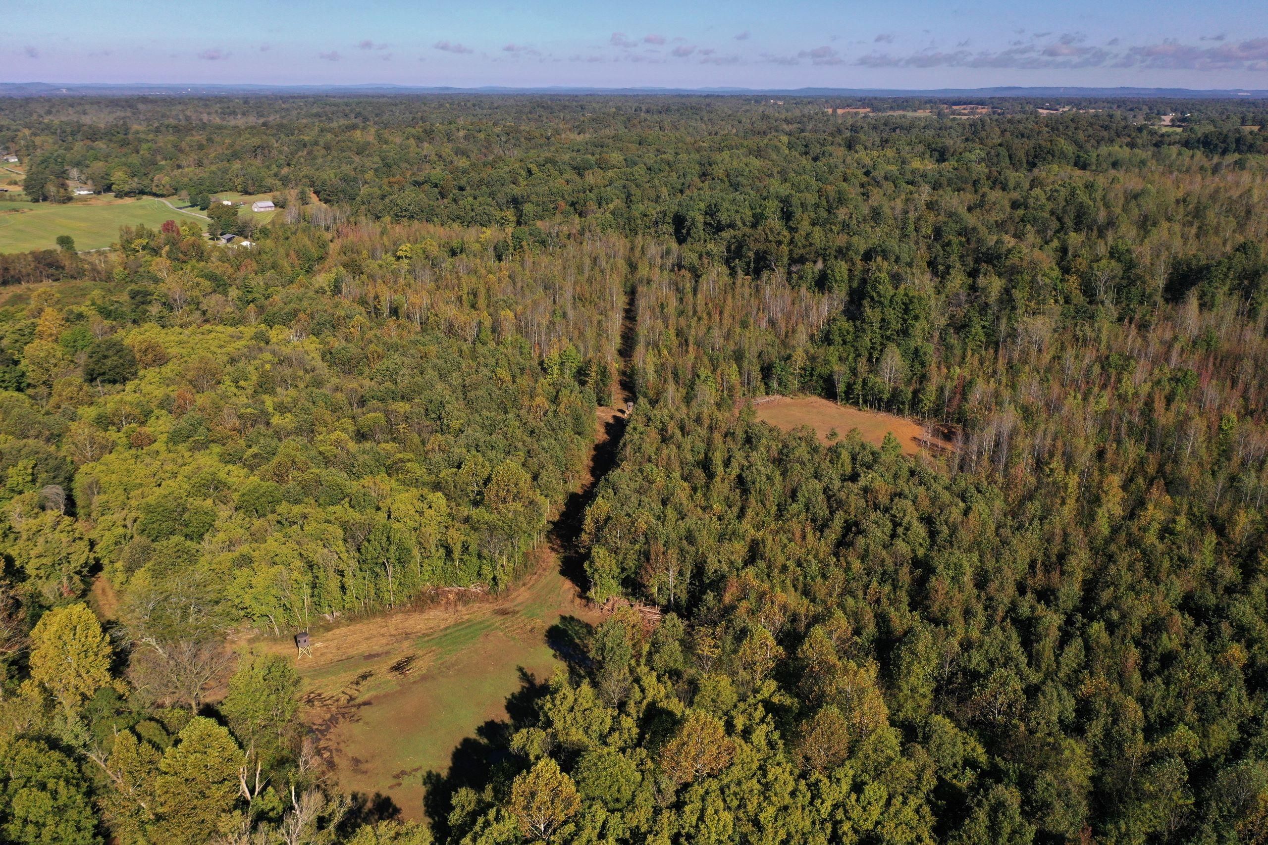 Marion, Crittenden County, KY Recreational Property, Timberland Property, Hunting Property for