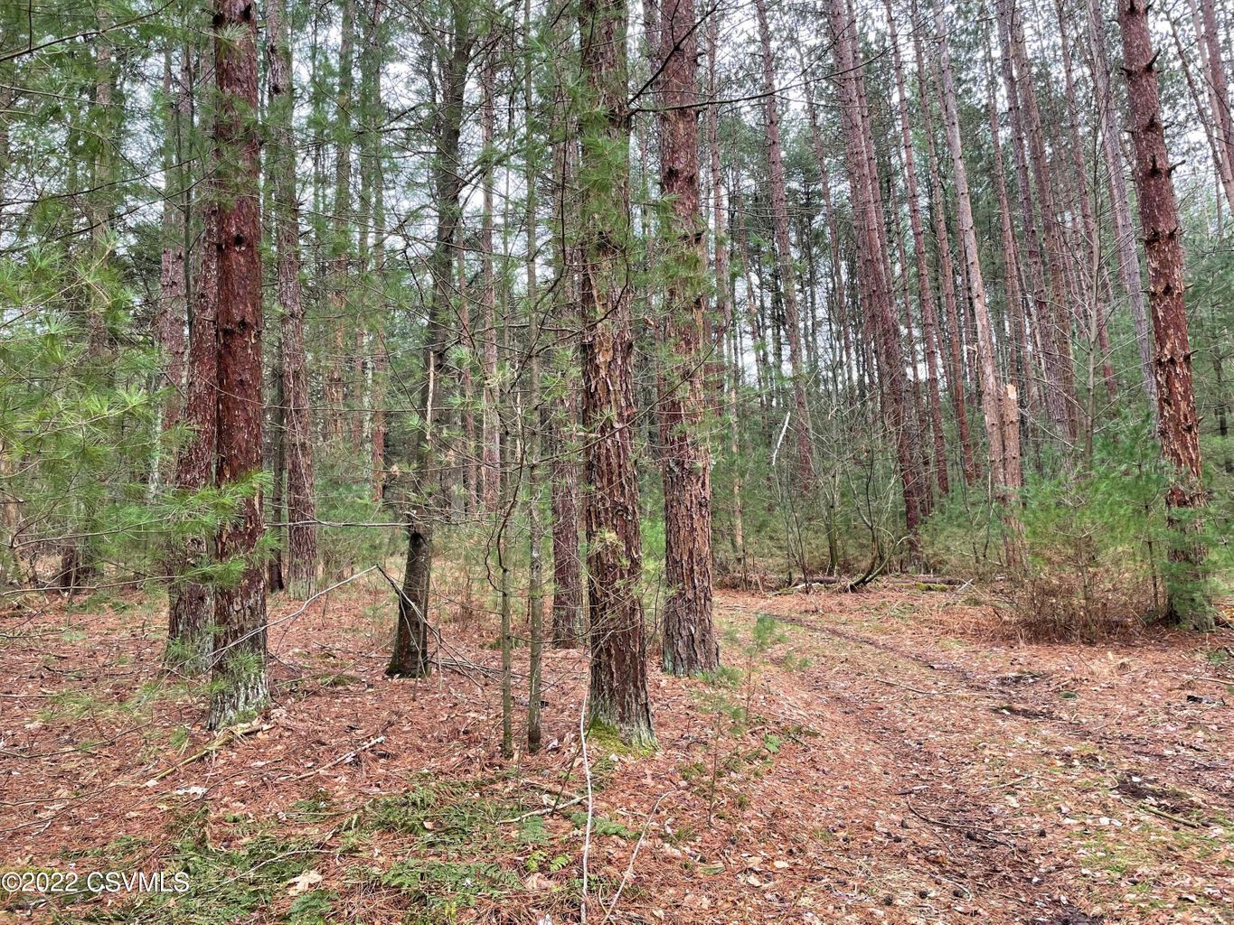 Bloomsburg, Columbia County, PA Undeveloped Land for sale Property ID