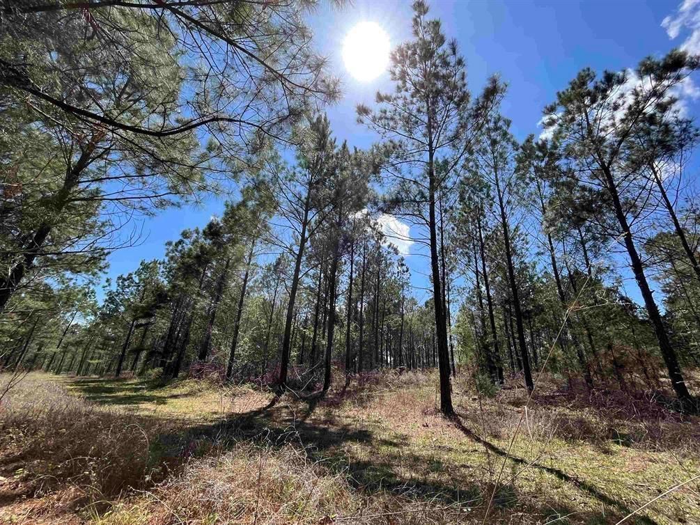 Hughes Springs, Cass County, TX Recreational Property, Hunting Property