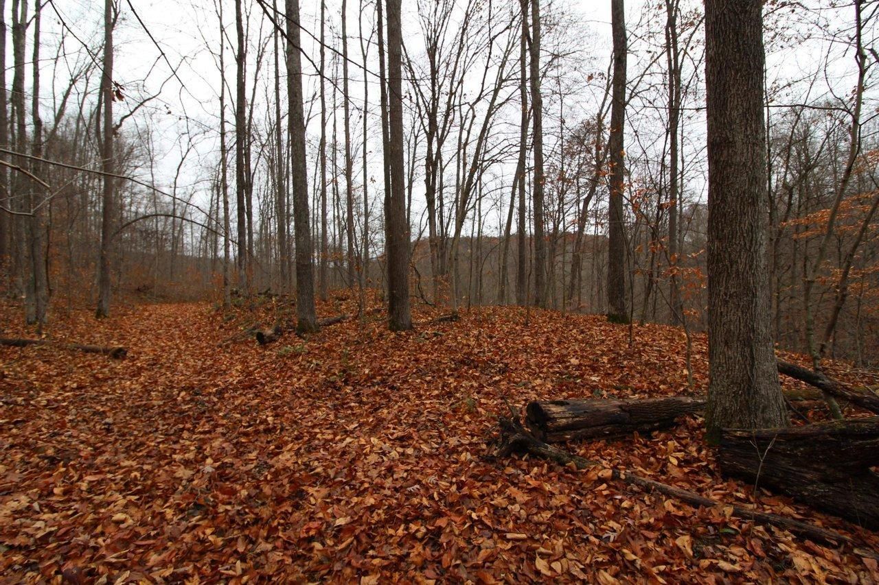 New Matamoras, Washington County, OH Recreational Property, Hunting