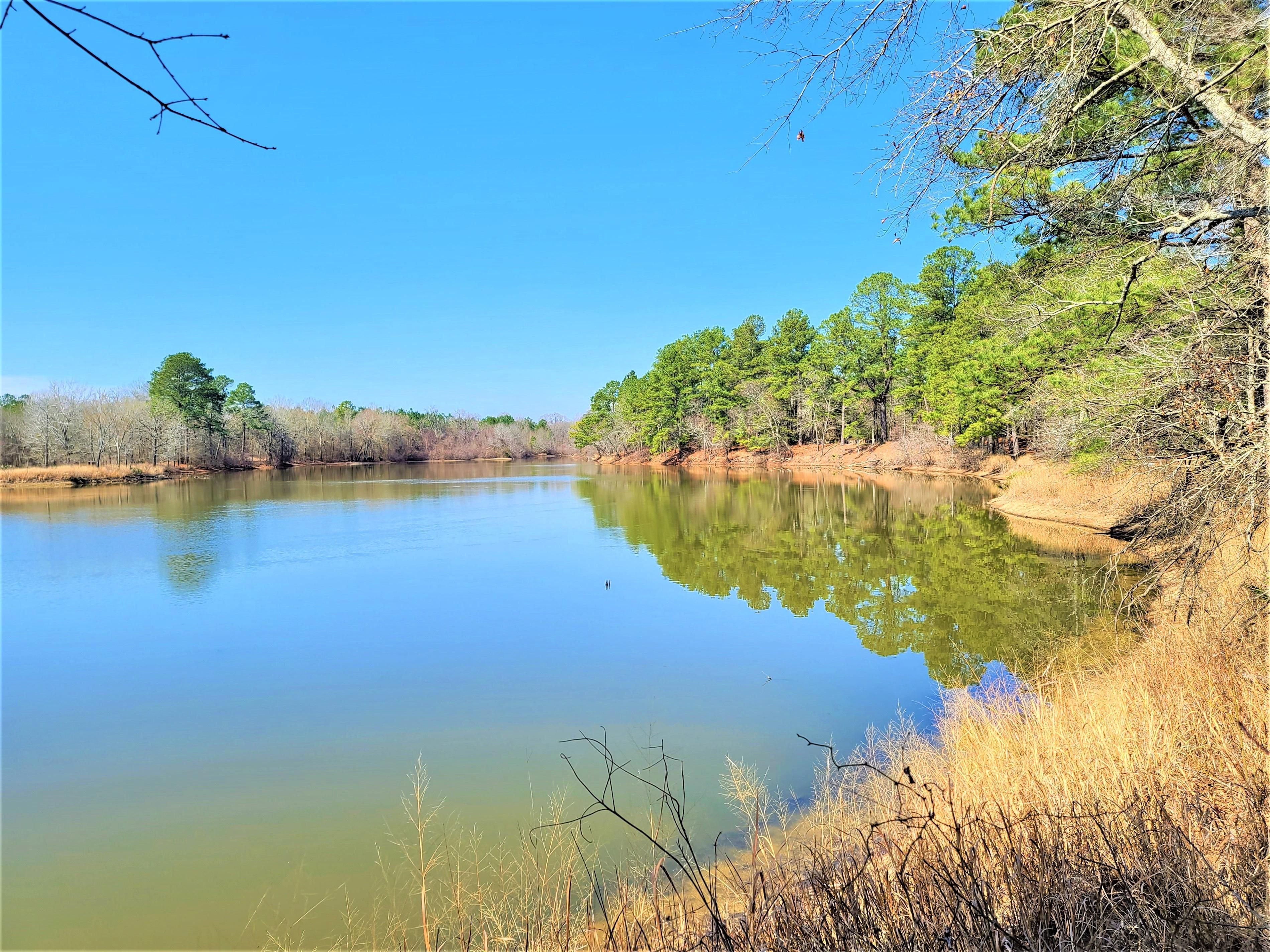 Gladewater, Gregg County, TX Recreational Property, Timberland Property