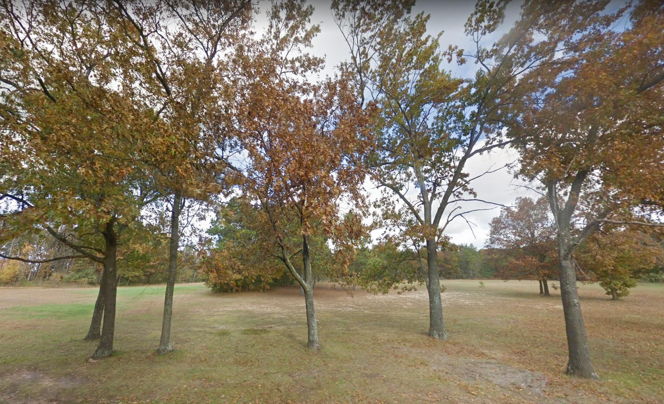 Grand Marsh, Adams County, WI Recreational Property, Undeveloped Land, Homesites for sale