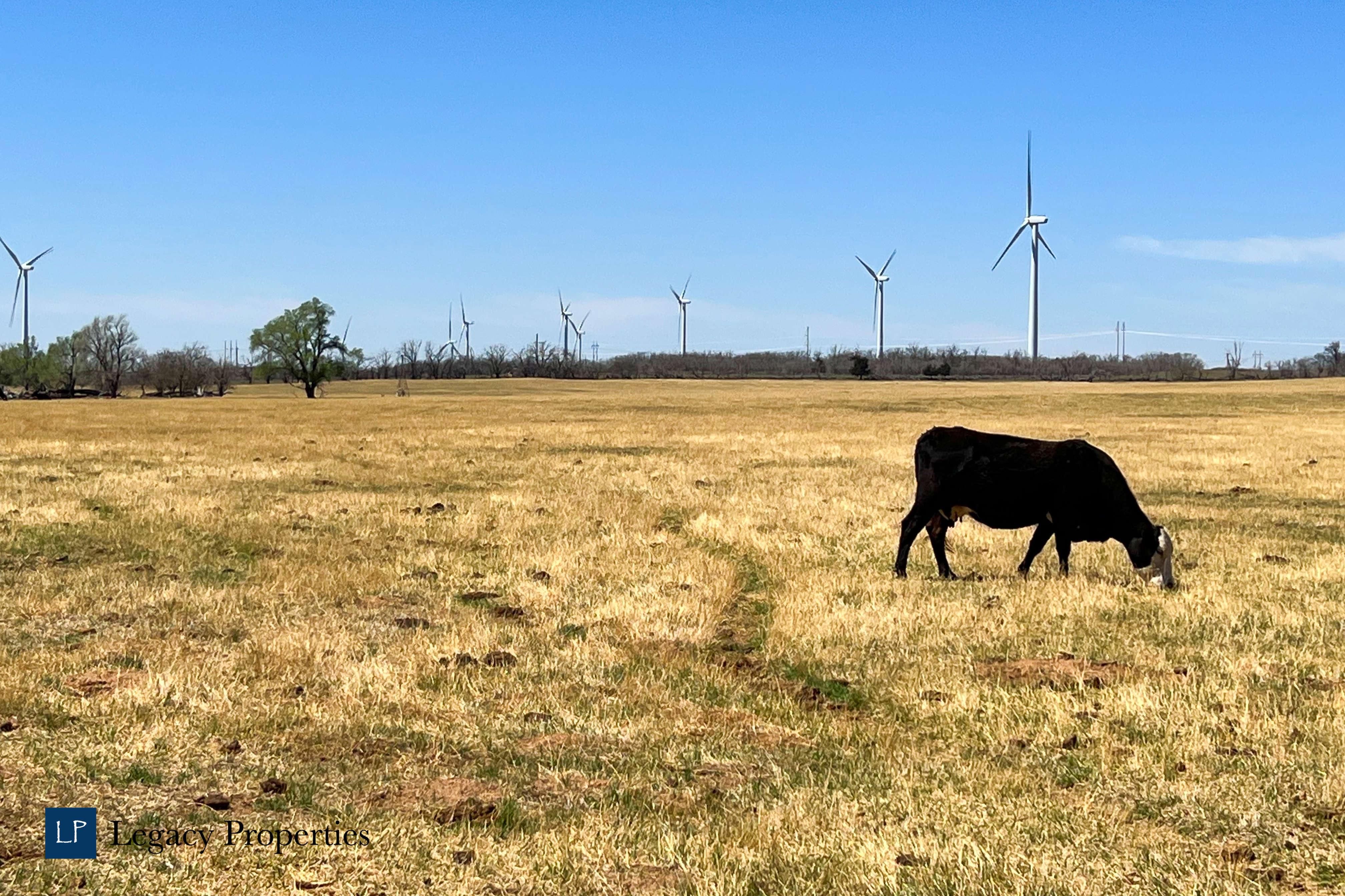 Vernon, Wilbarger County, TX Farms and Ranches, House for sale Property