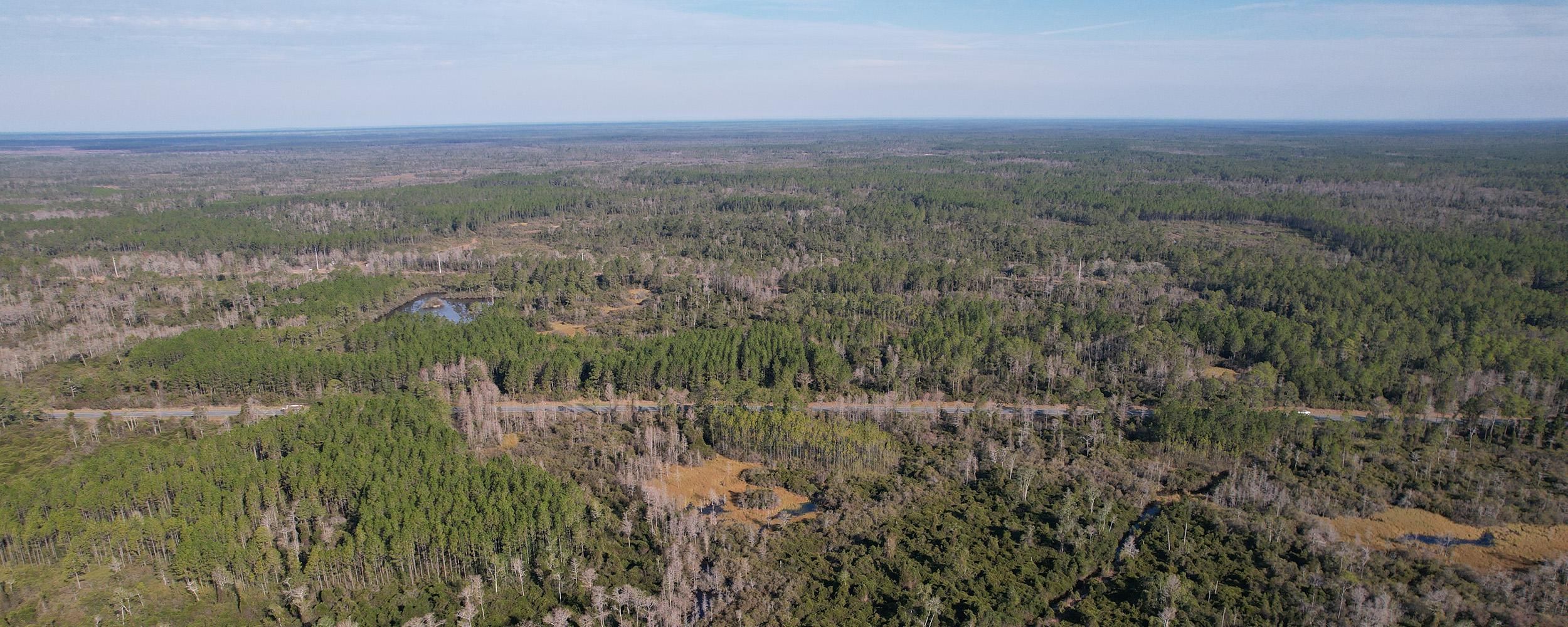 Perry, Taylor County, FL Recreational Property, Timberland Property, Hunting Property for sale