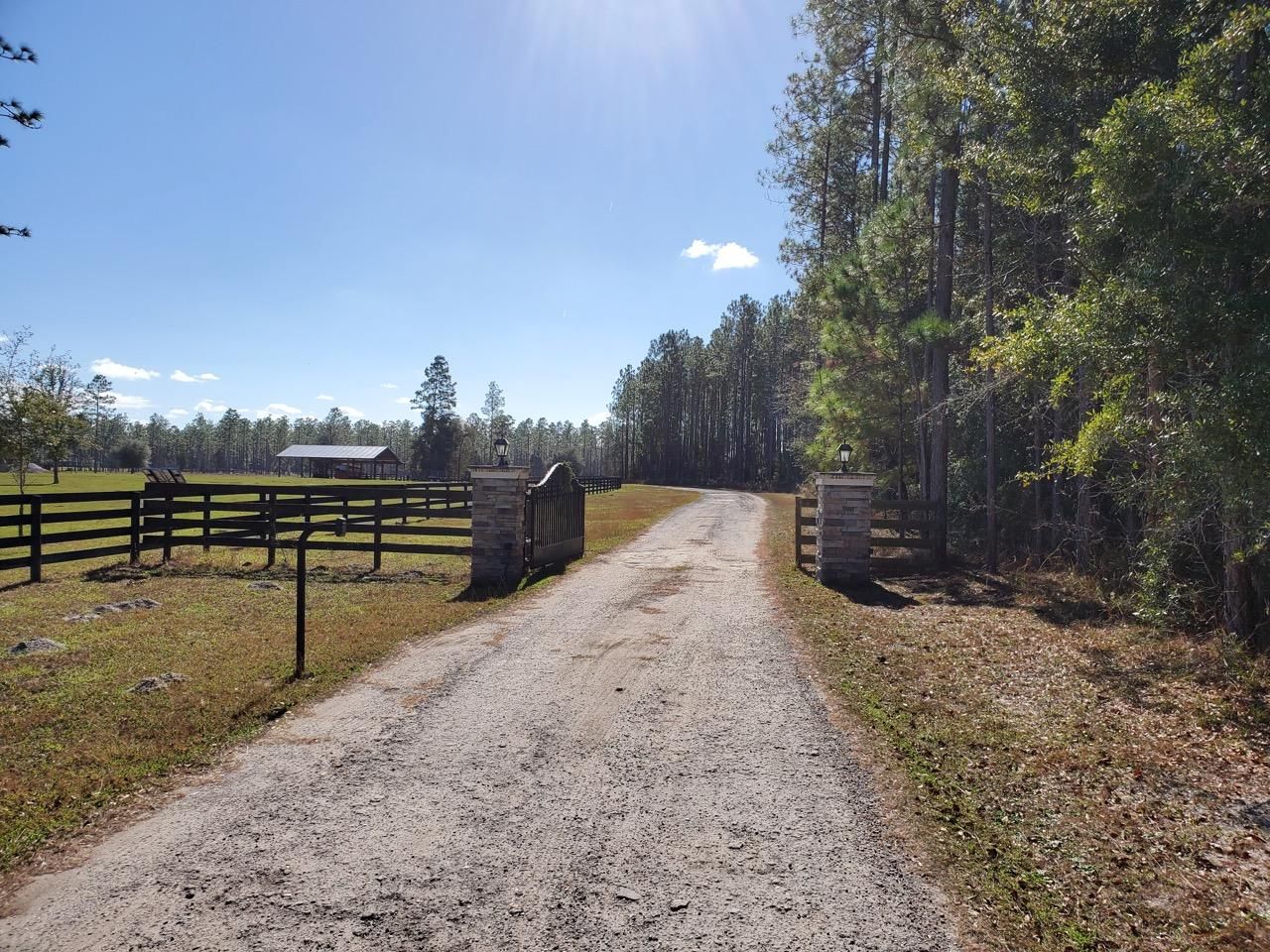 Williston, Levy County, FL Farms and Ranches, Undeveloped Land for sale