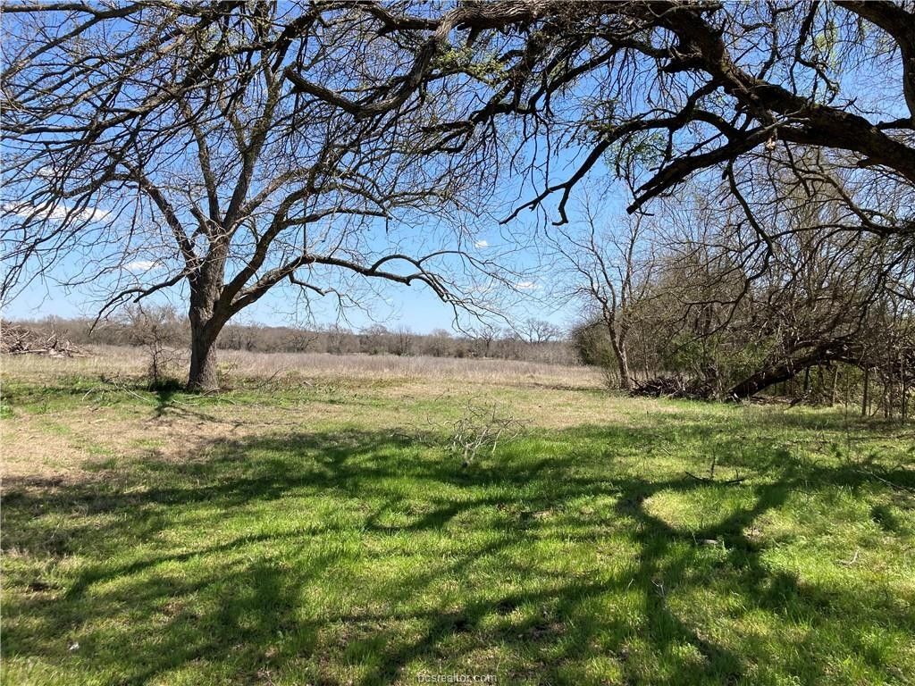 Bremond, Robertson County, TX Undeveloped Land for sale Property ID