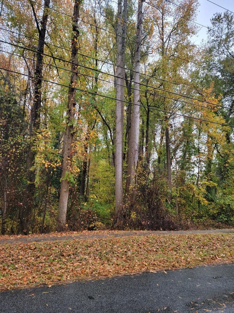 Roanoke Rapids, Halifax County, NC Homesites for sale Property ID