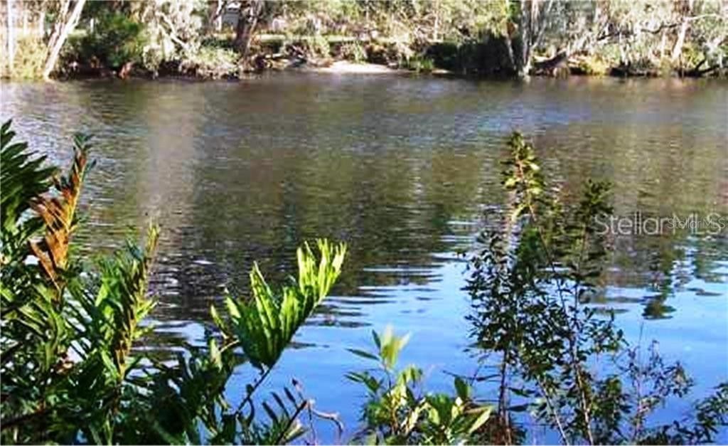 Riverview, Hillsborough County, FL Undeveloped Land, Lakefront Property