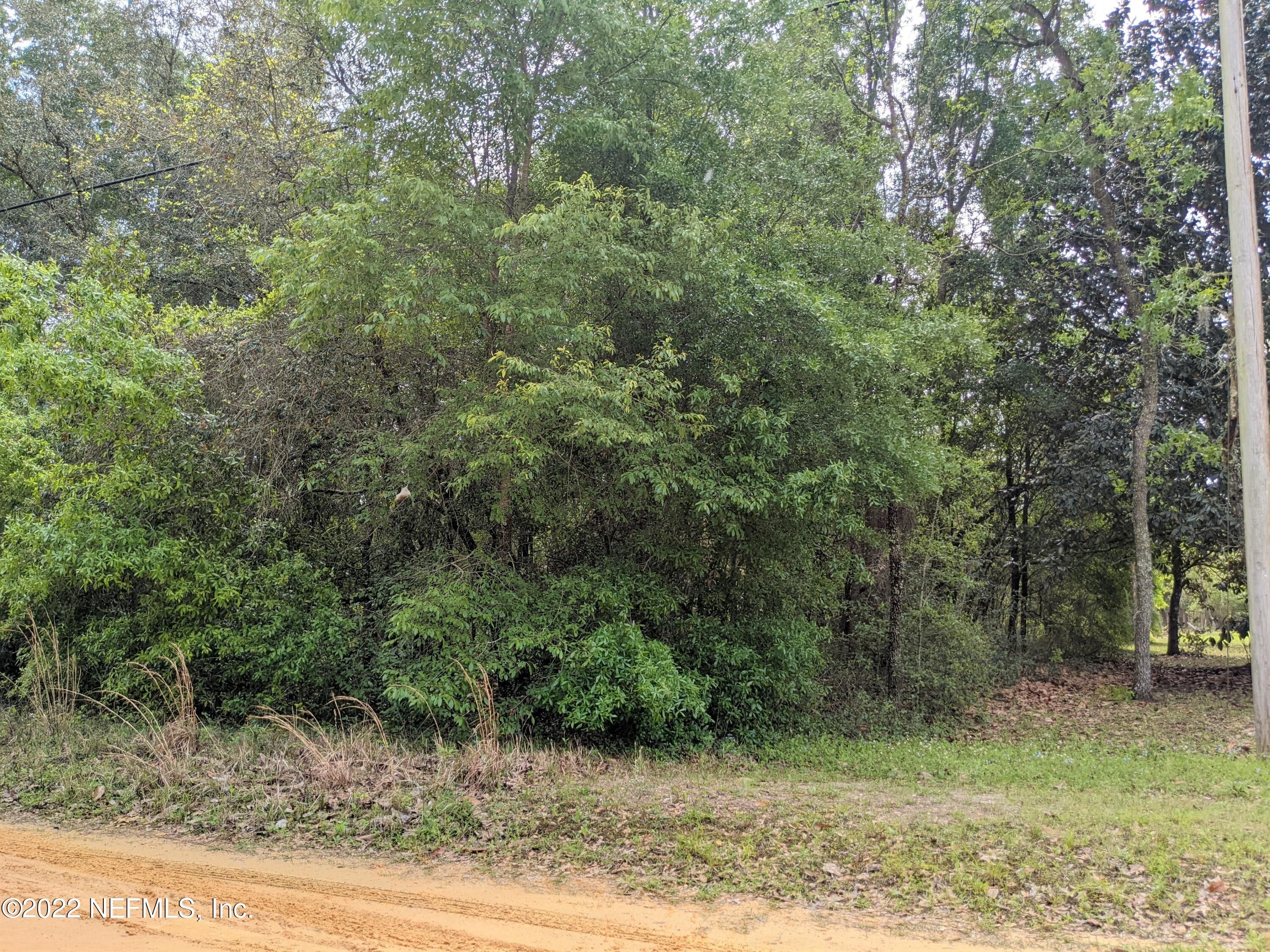 Keystone Heights, Clay County, FL Undeveloped Land, Homesites for sale