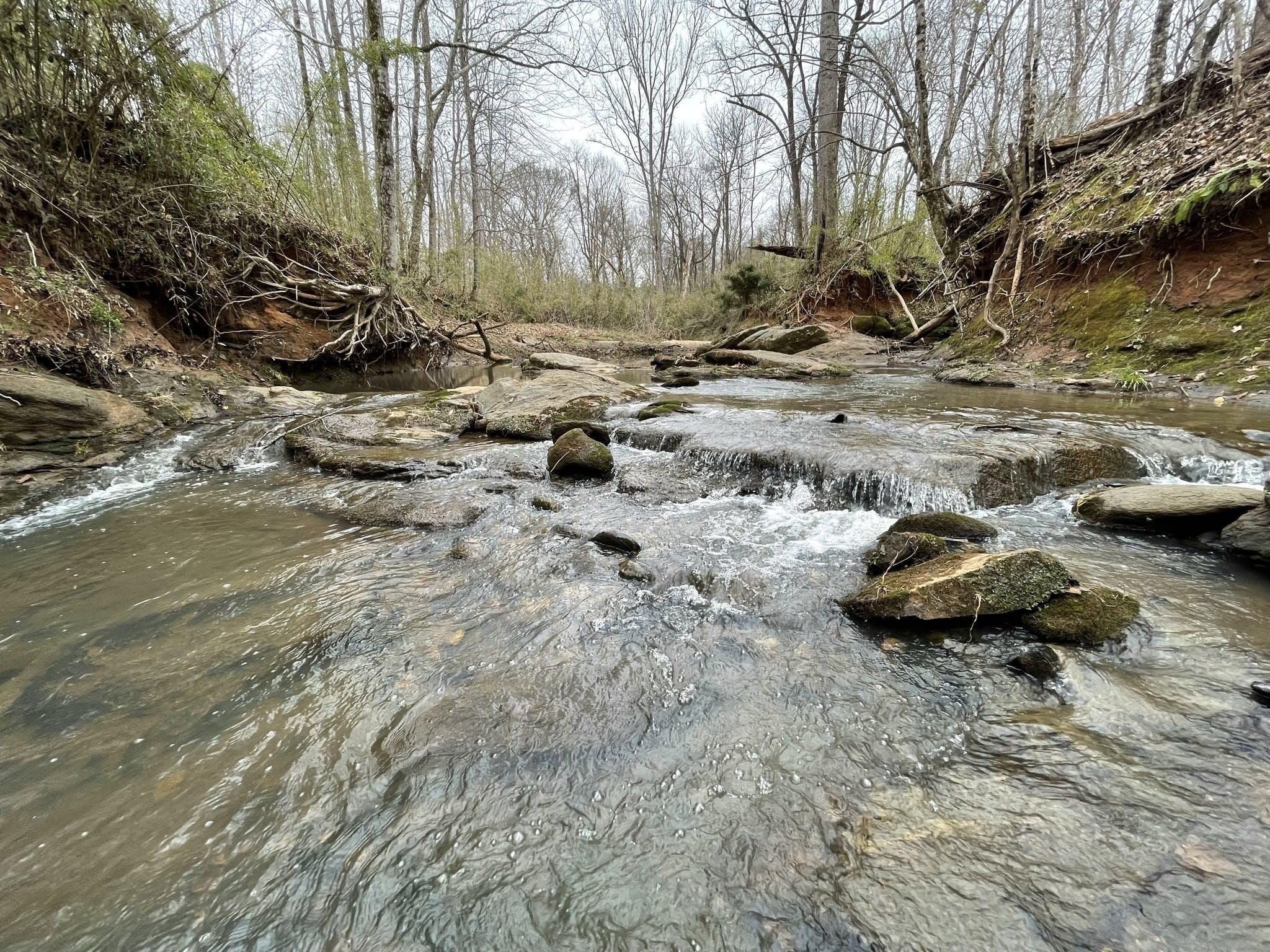 Mcconnells, York County, SC Recreational Property, Timberland Property