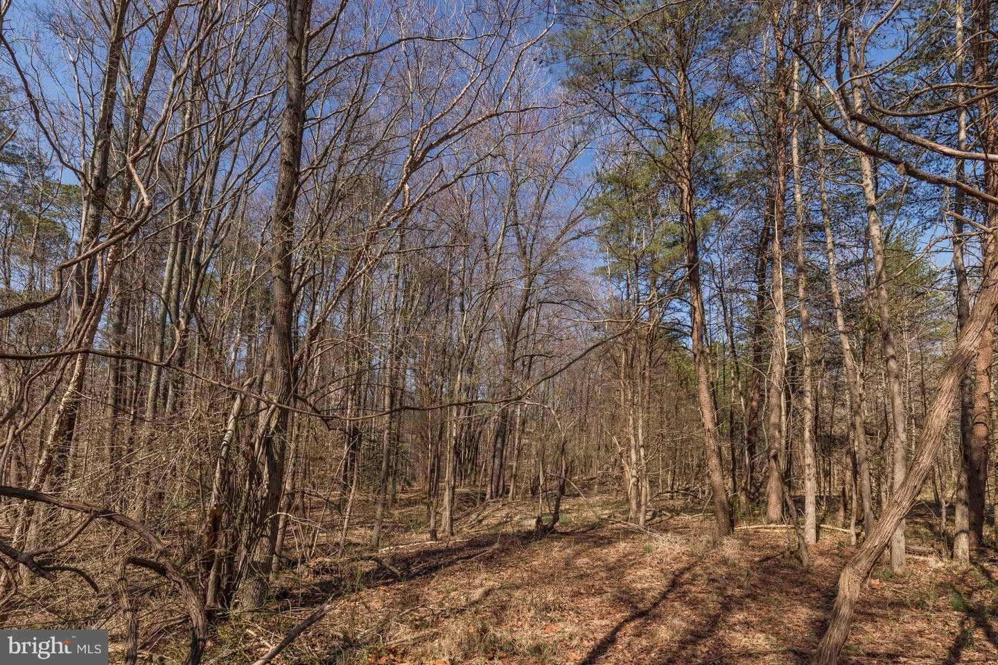 Laurel, Prince County, MD Farms and Ranches for sale Property